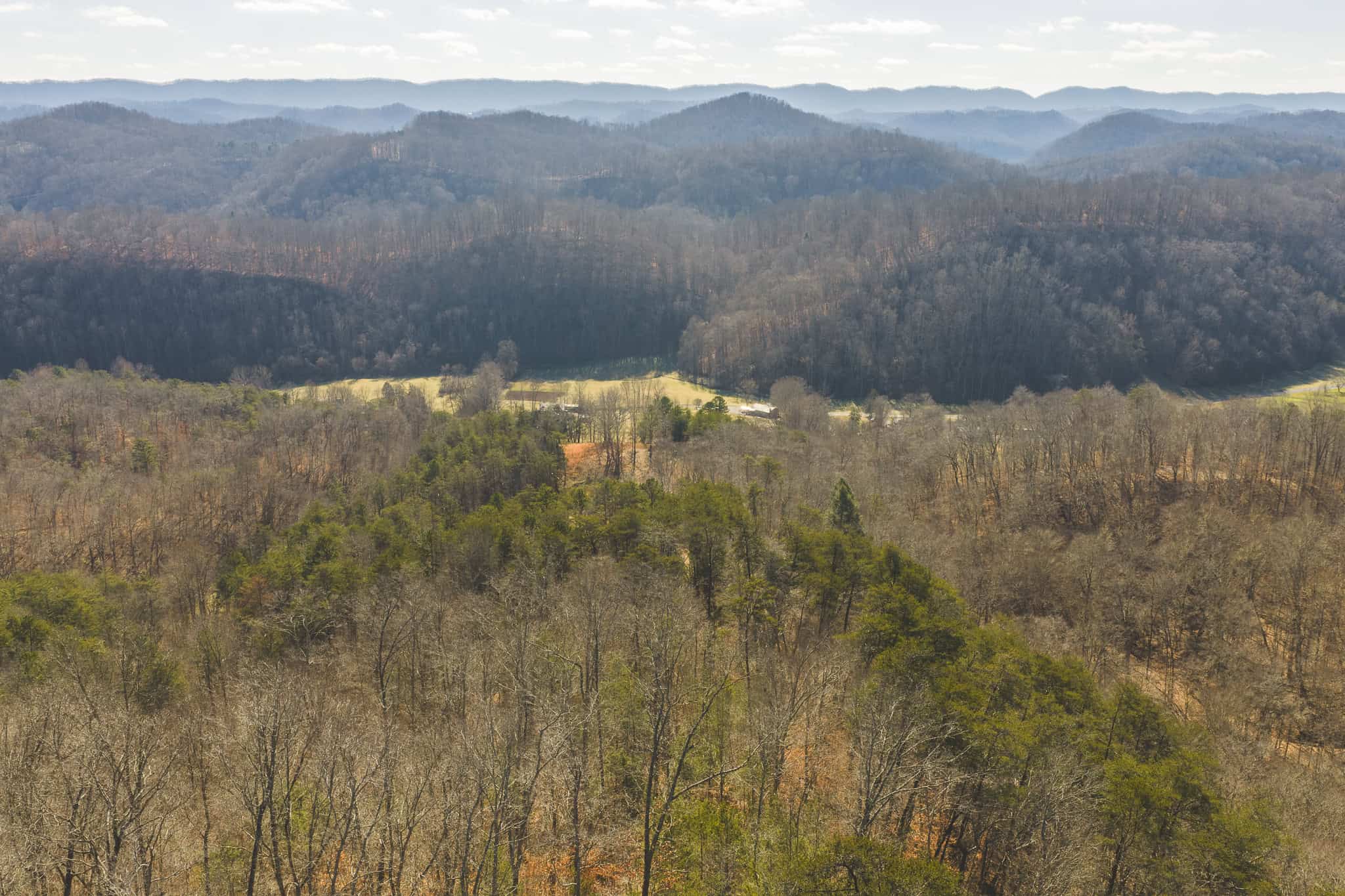 Freedom, Income Potential, and a Turnkey Farmstead: Exceptionally Clean Brick Ranch on 59+ Unrestricted Acres in Claiborne County, Tennessee