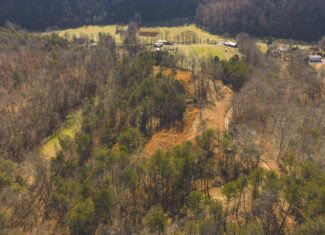 Freedom, Income Potential, and a Turnkey Farmstead: Exceptionally Clean Brick Ranch on 59+ Unrestricted Acres in Claiborne County, Tennessee