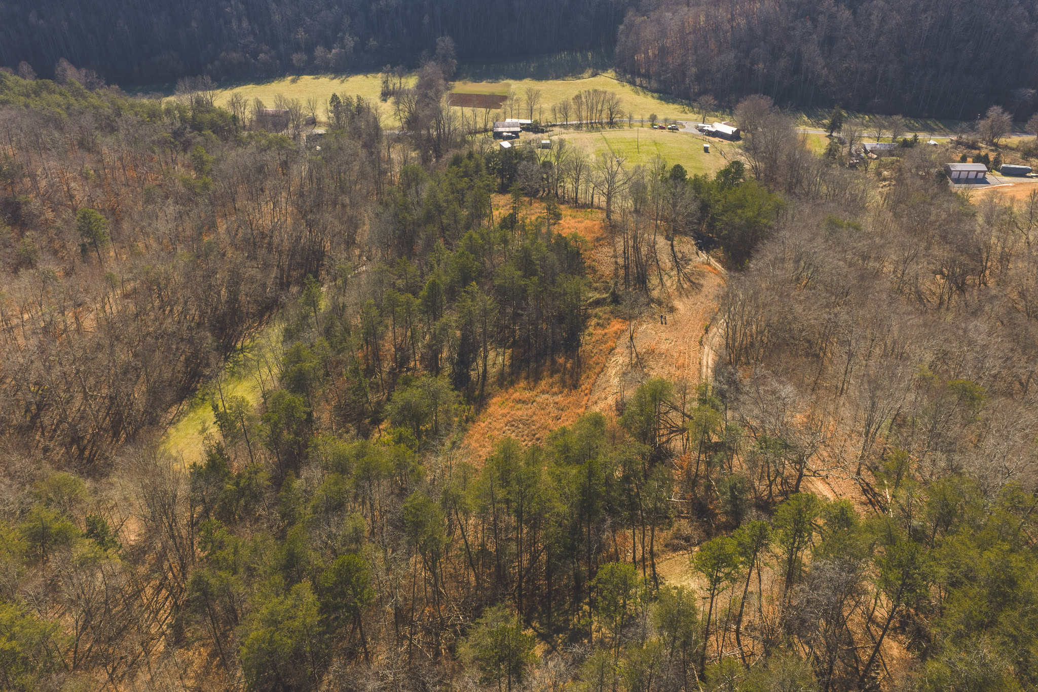 Freedom, Income Potential, and a Turnkey Farmstead: Exceptionally Clean Brick Ranch on 59+ Unrestricted Acres in Claiborne County, Tennessee