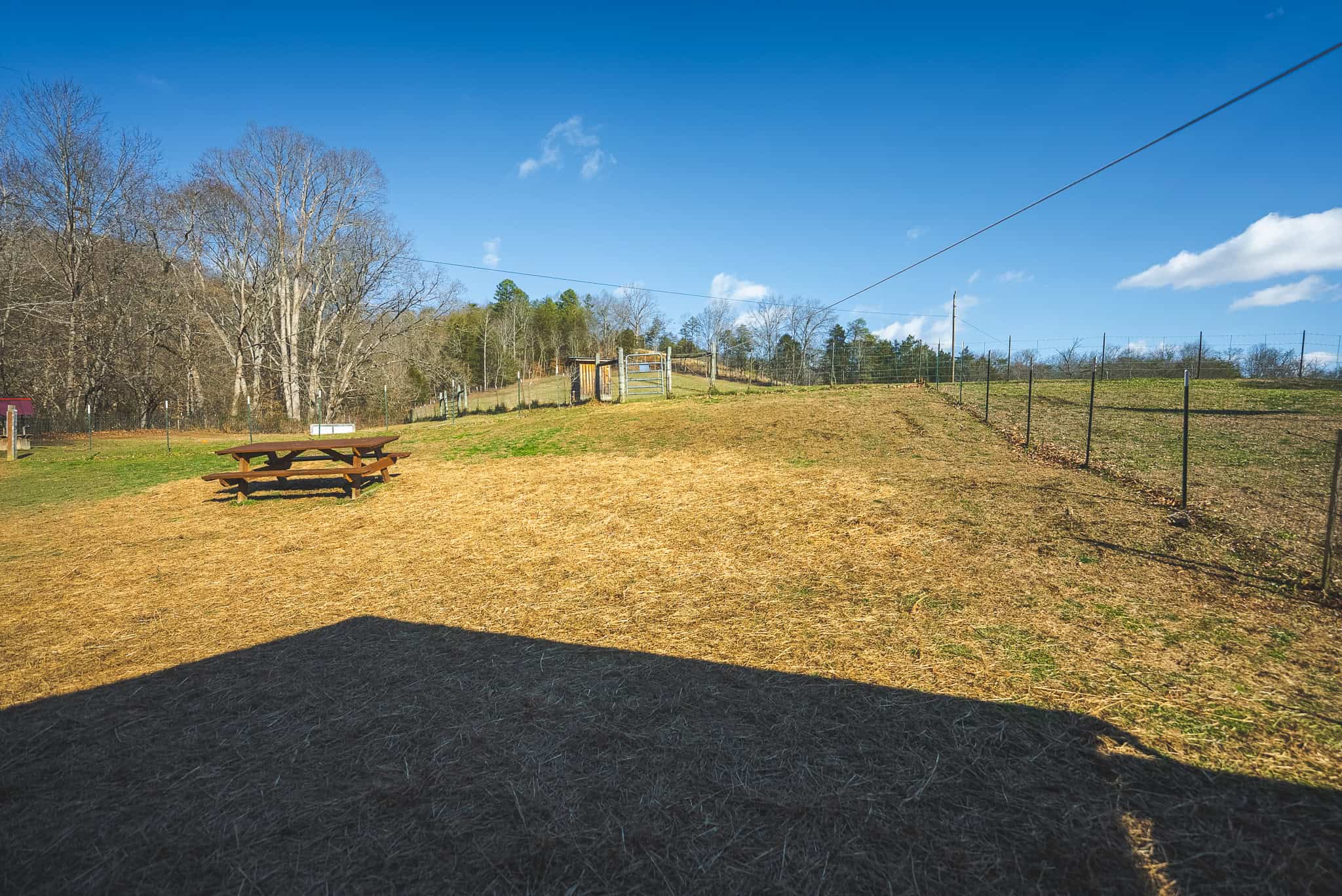 Freedom, Income Potential, and a Turnkey Farmstead: Exceptionally Clean Brick Ranch on 59+ Unrestricted Acres in Claiborne County, Tennessee