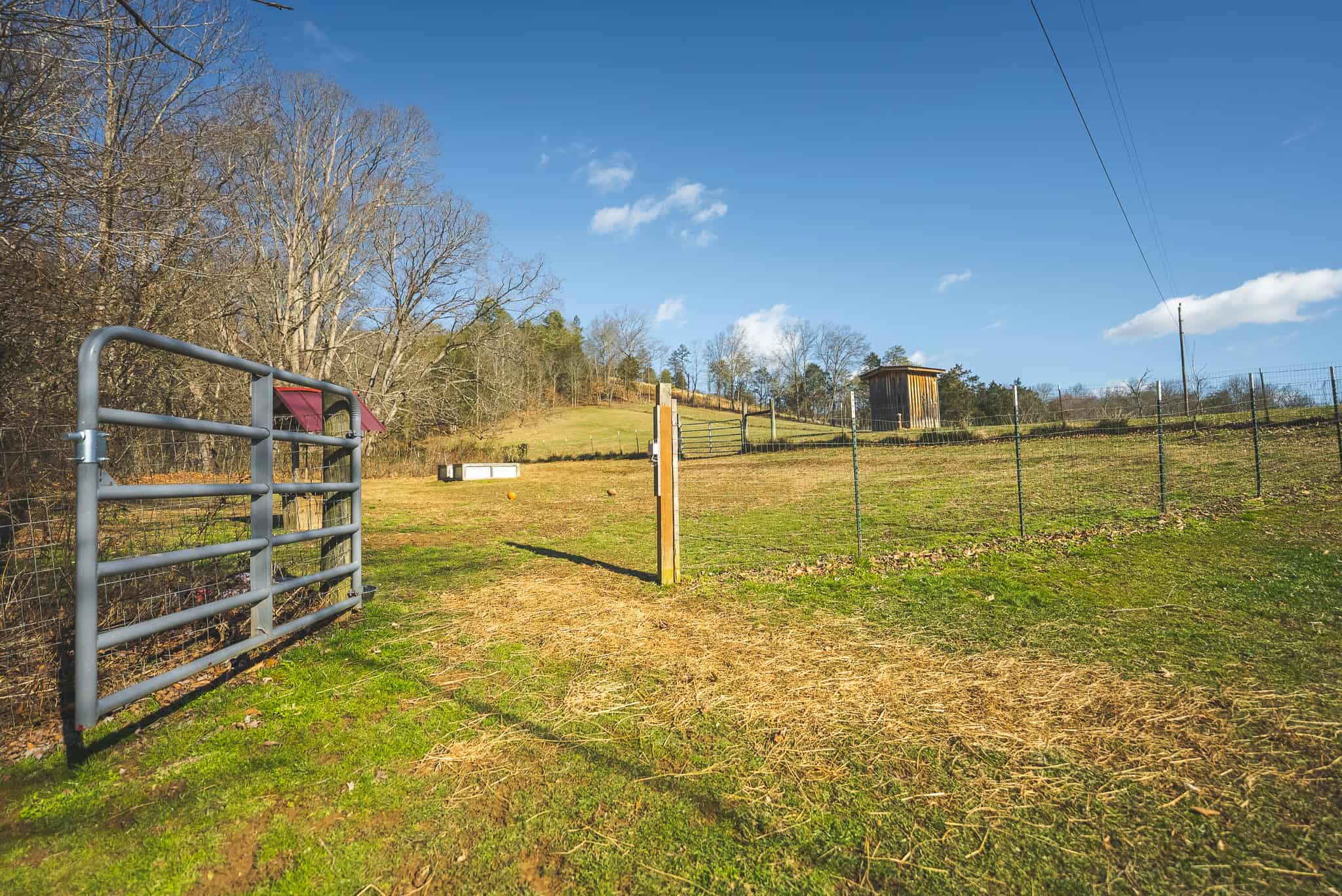 Freedom, Income Potential, and a Turnkey Farmstead: Exceptionally Clean Brick Ranch on 59+ Unrestricted Acres in Claiborne County, Tennessee