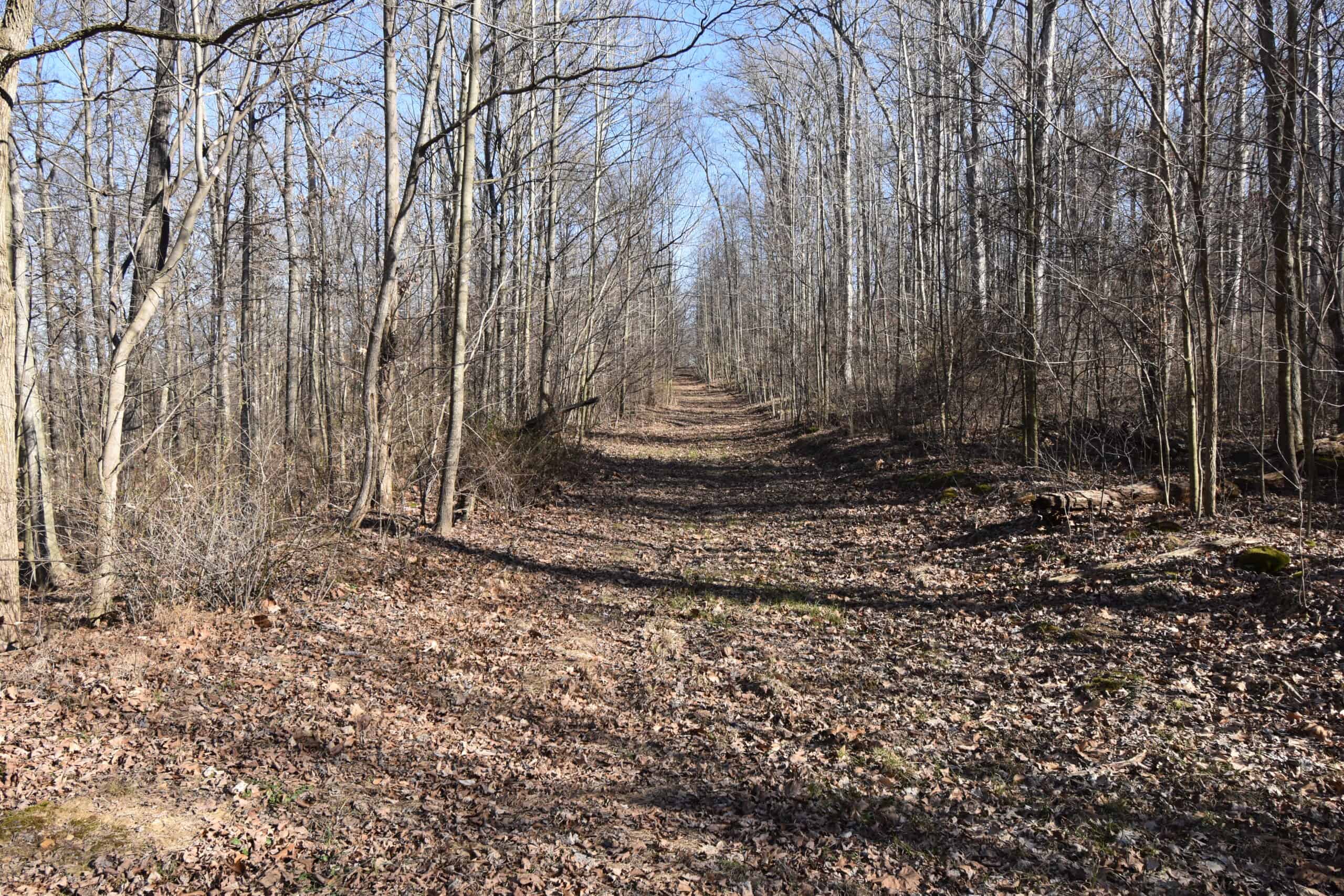 80 Acres In Dubois County- Near Patoka Lake