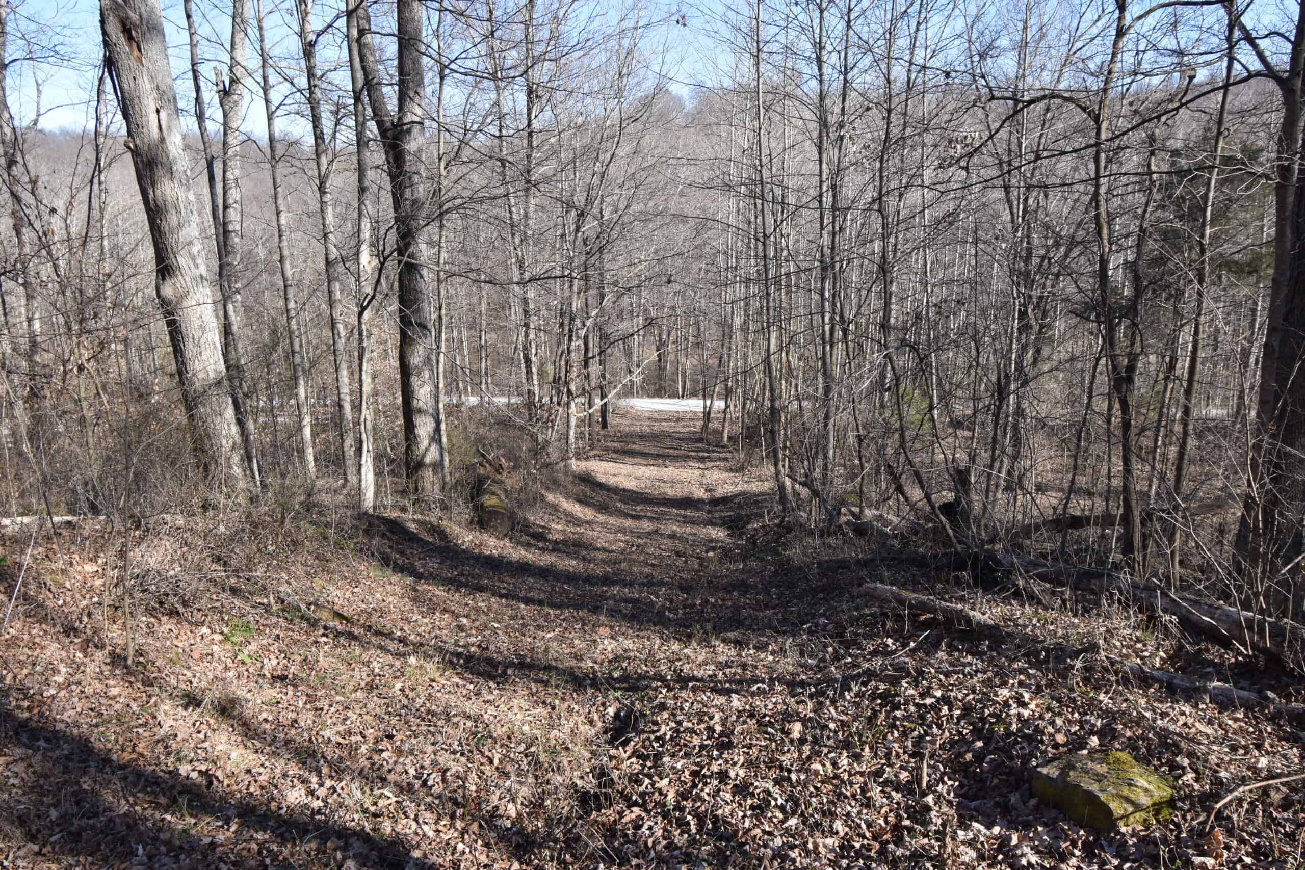 80 Acres In Dubois County- Near Patoka Lake