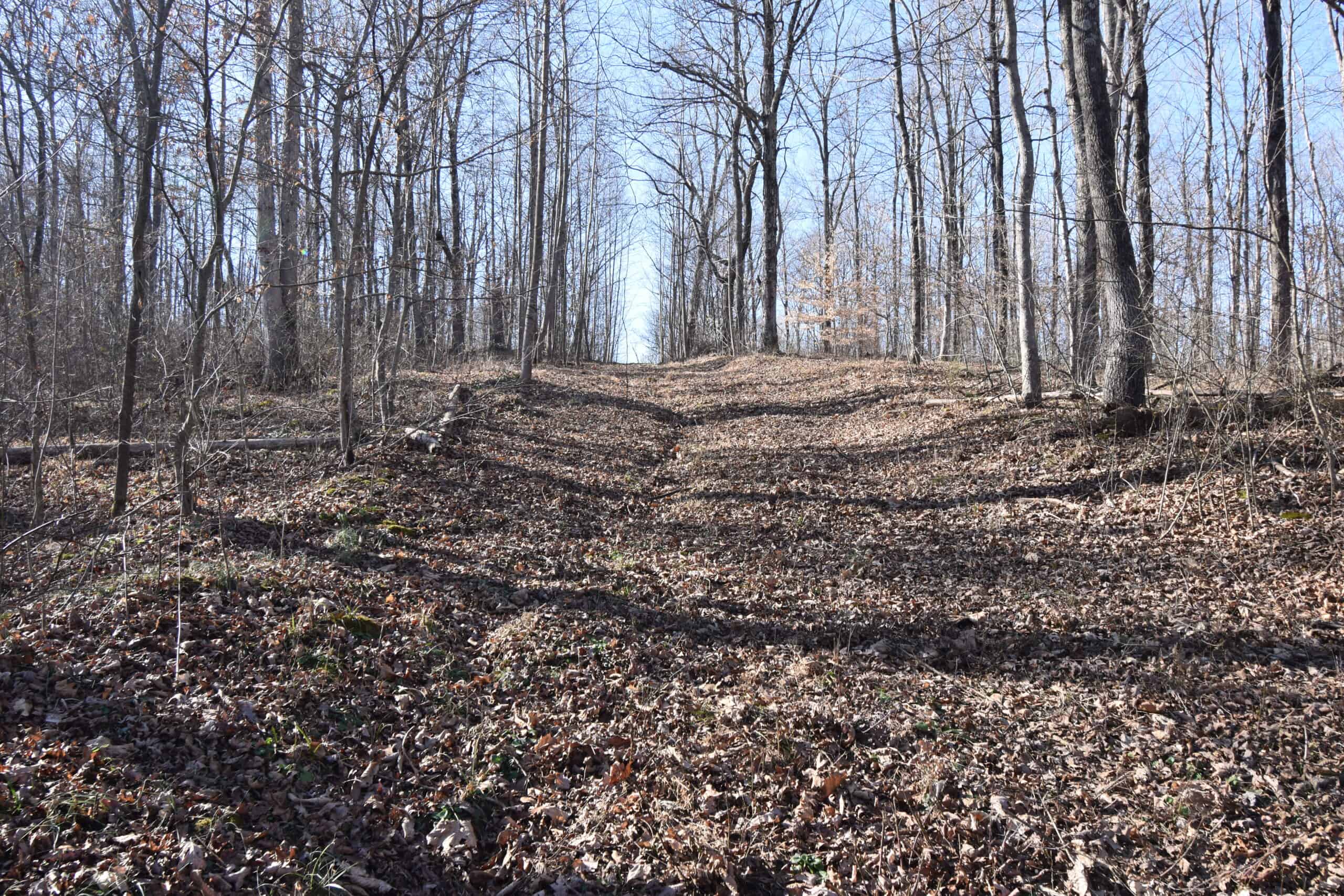 80 Acres In Dubois County- Near Patoka Lake