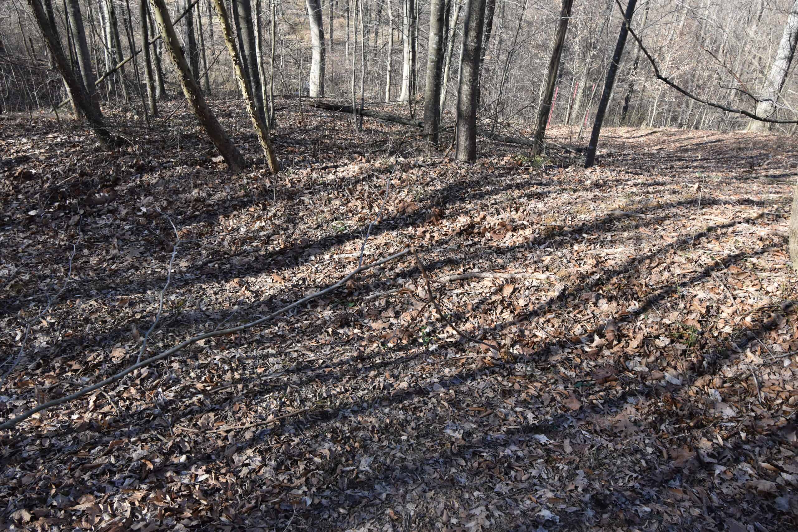 80 Acres In Dubois County- Near Patoka Lake