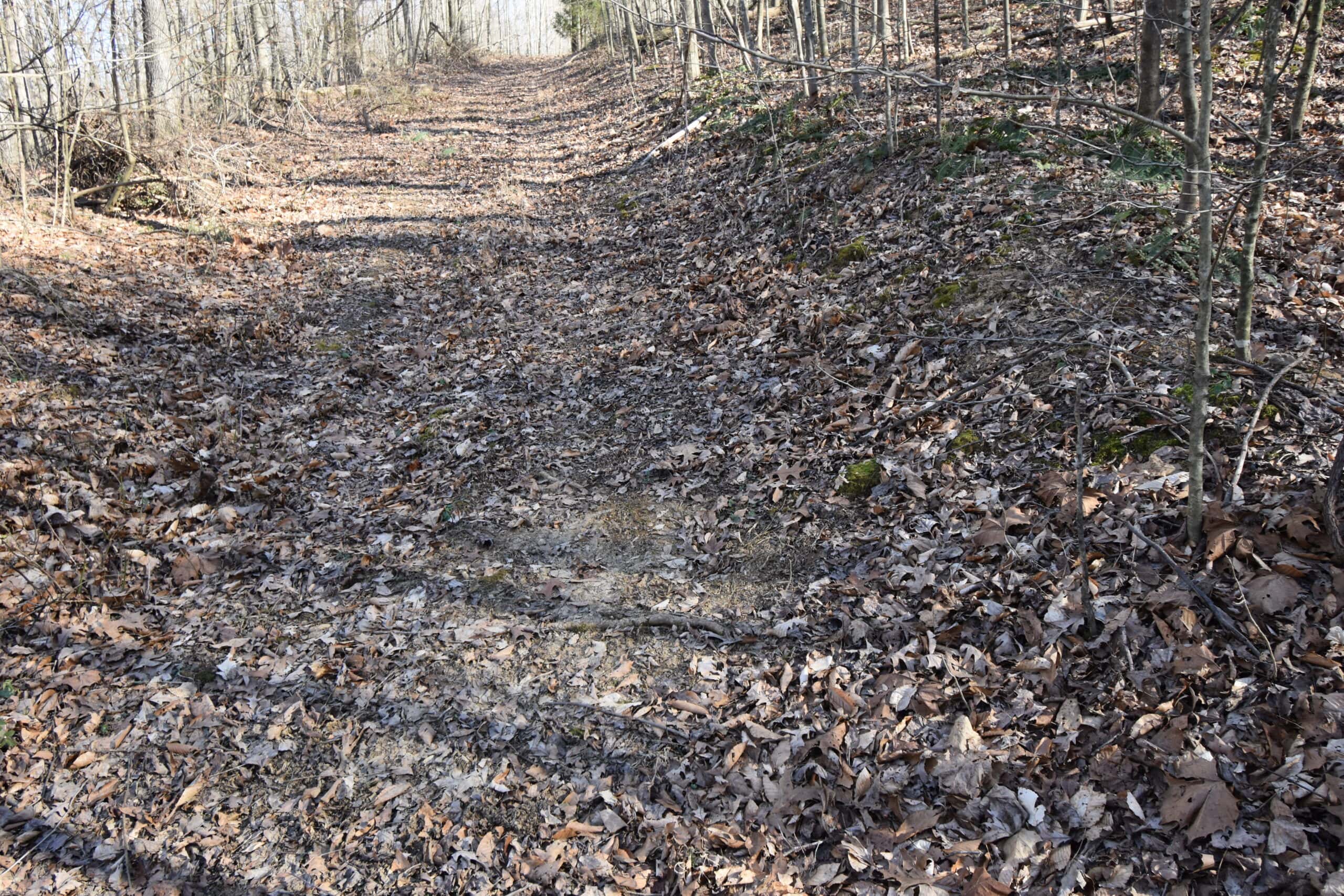 80 Acres In Dubois County- Near Patoka Lake