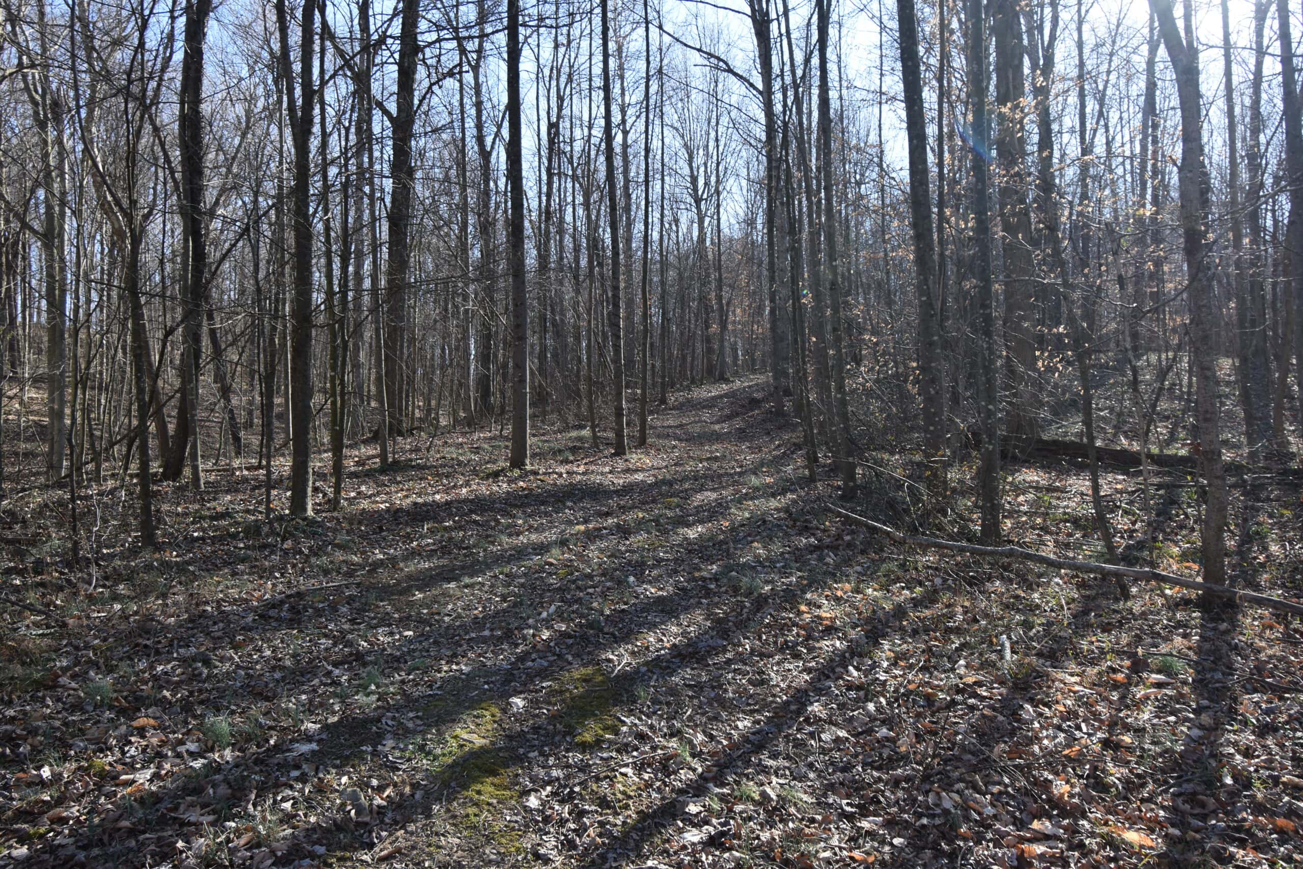 80 Acres In Dubois County- Near Patoka Lake