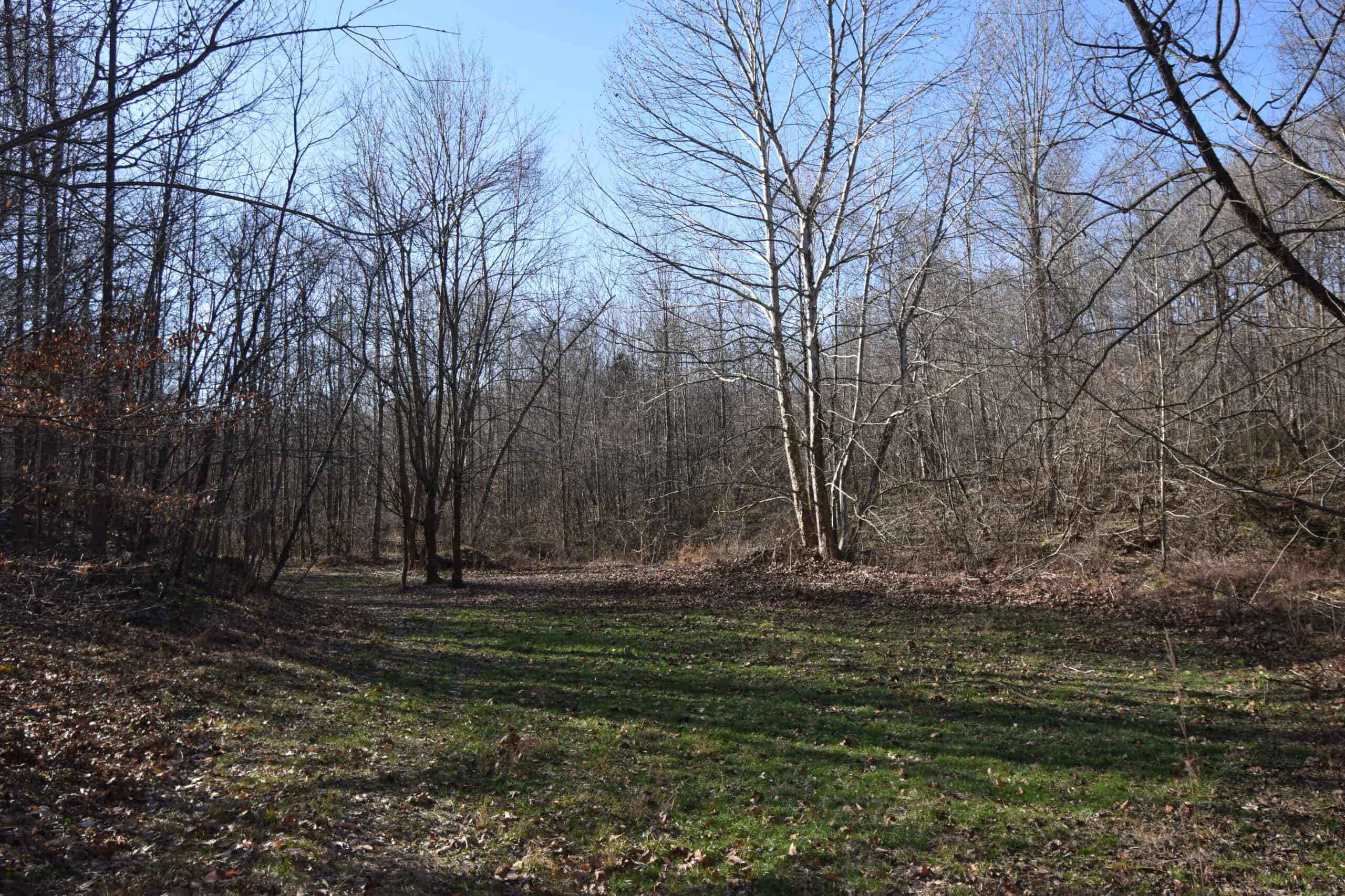 80 Acres In Dubois County- Near Patoka Lake