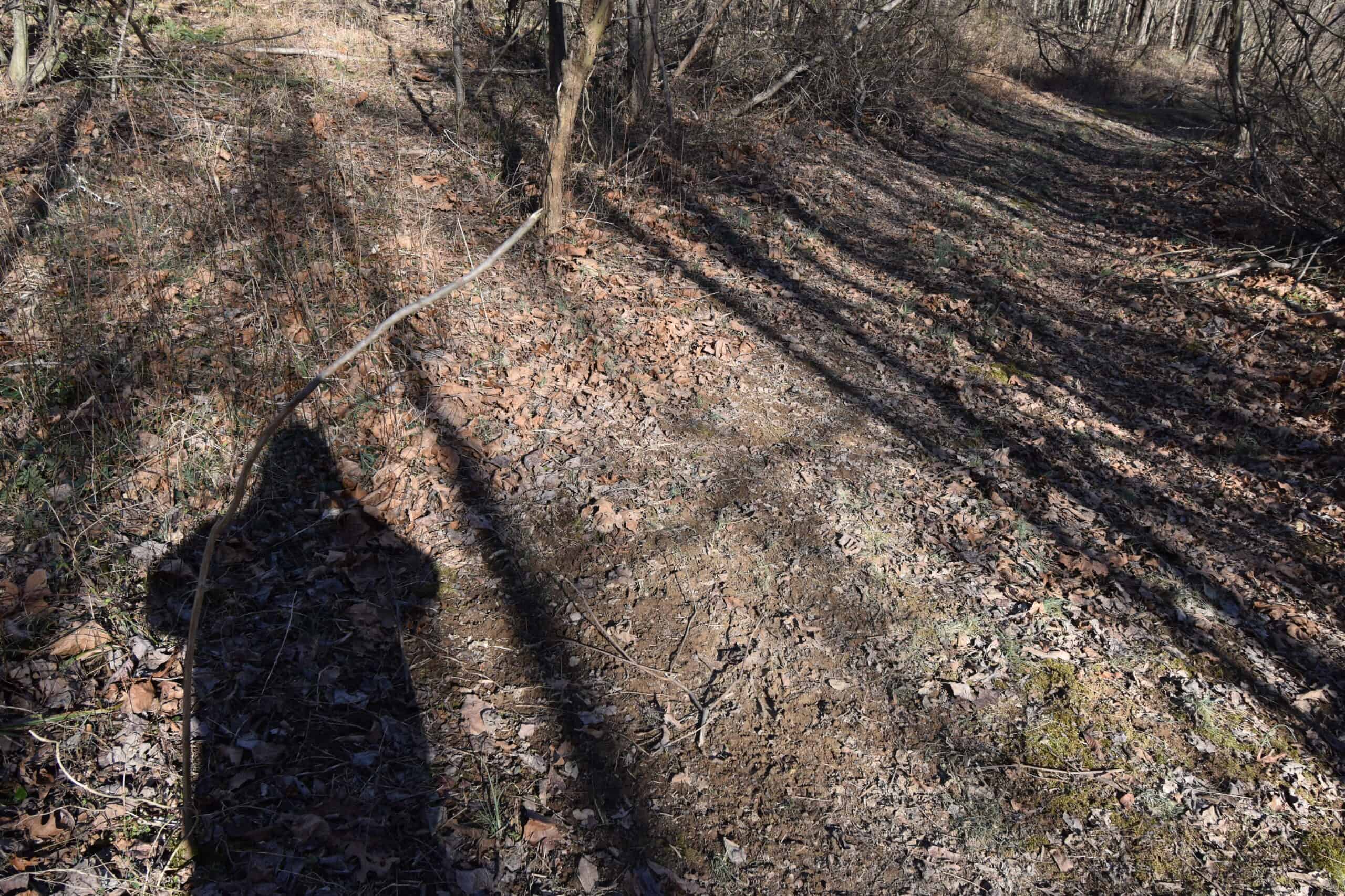 80 Acres In Dubois County- Near Patoka Lake