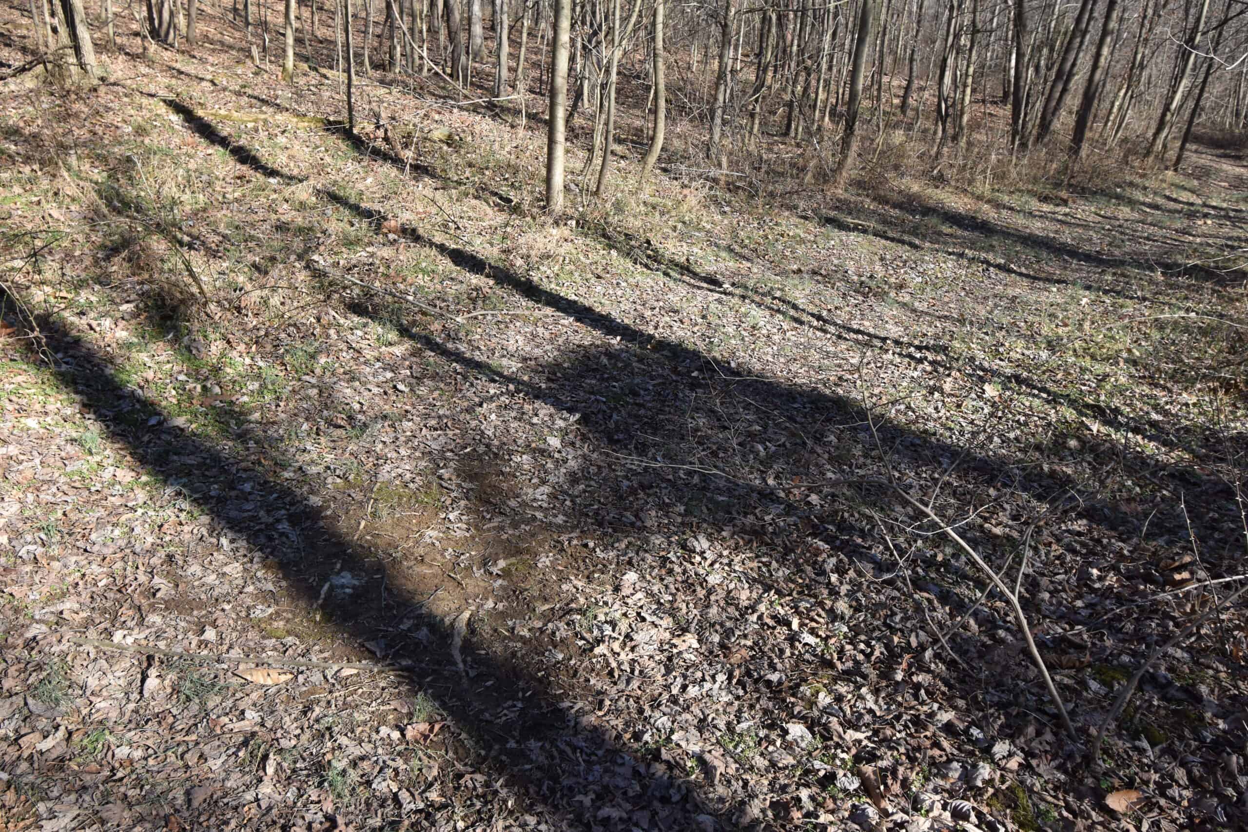 80 Acres In Dubois County- Near Patoka Lake
