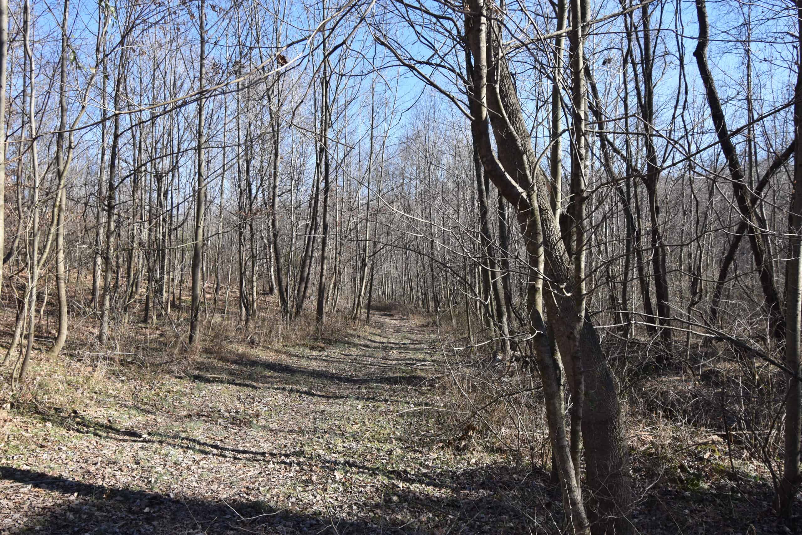 80 Acres In Dubois County- Near Patoka Lake