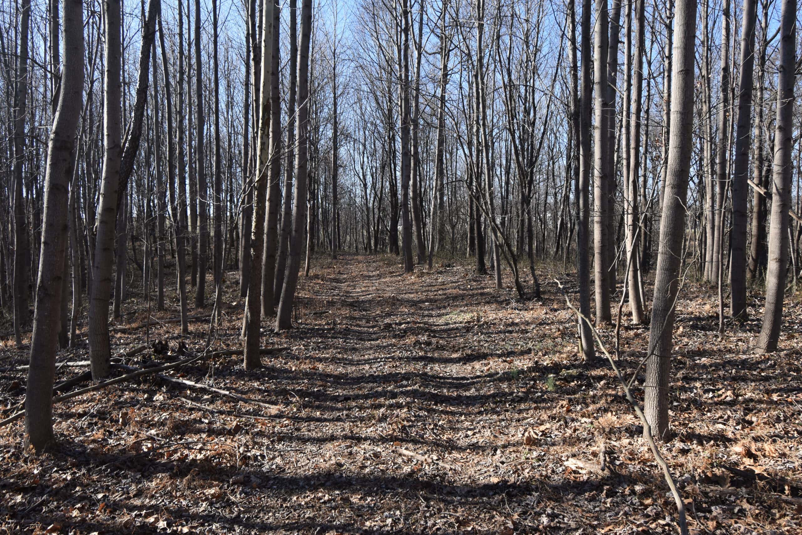 80 Acres In Dubois County- Near Patoka Lake