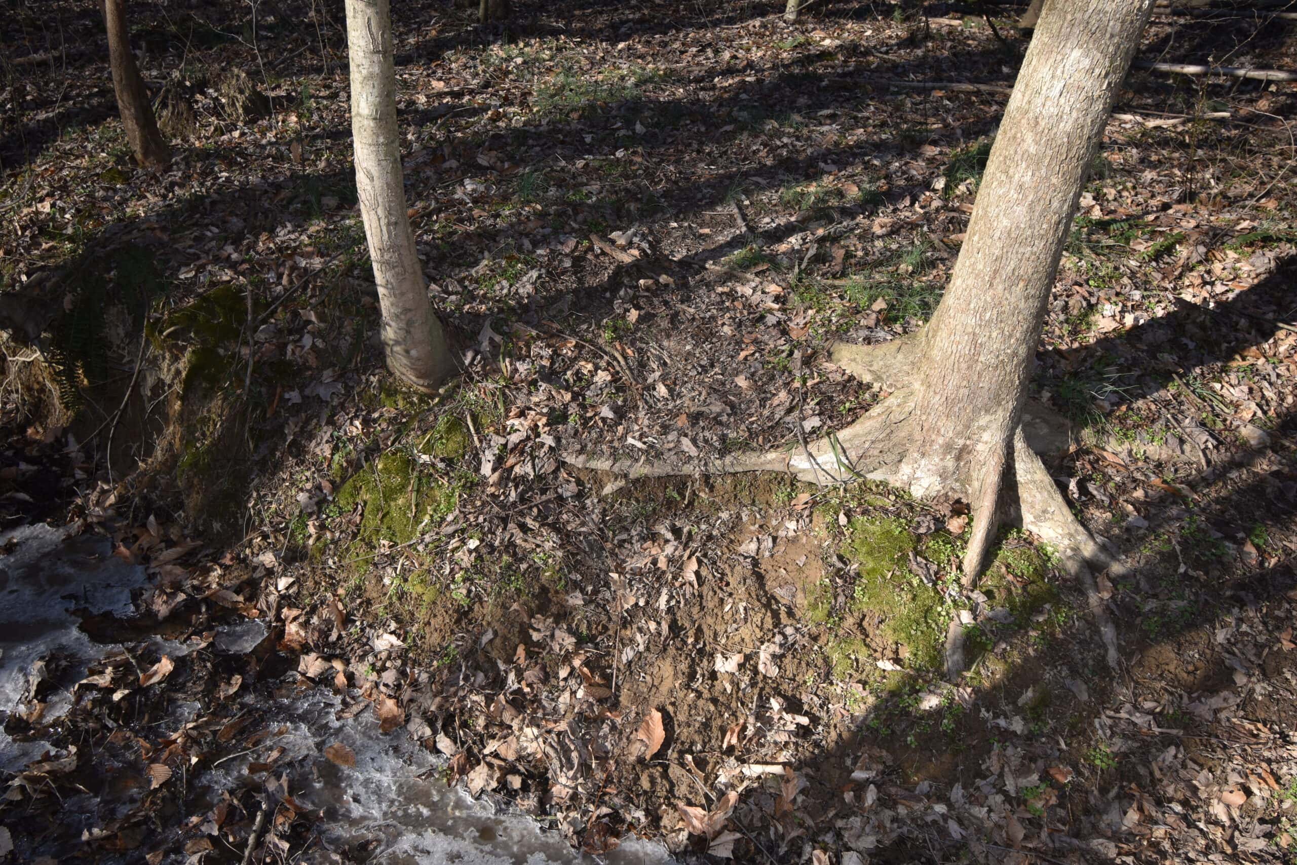 80 Acres In Dubois County- Near Patoka Lake
