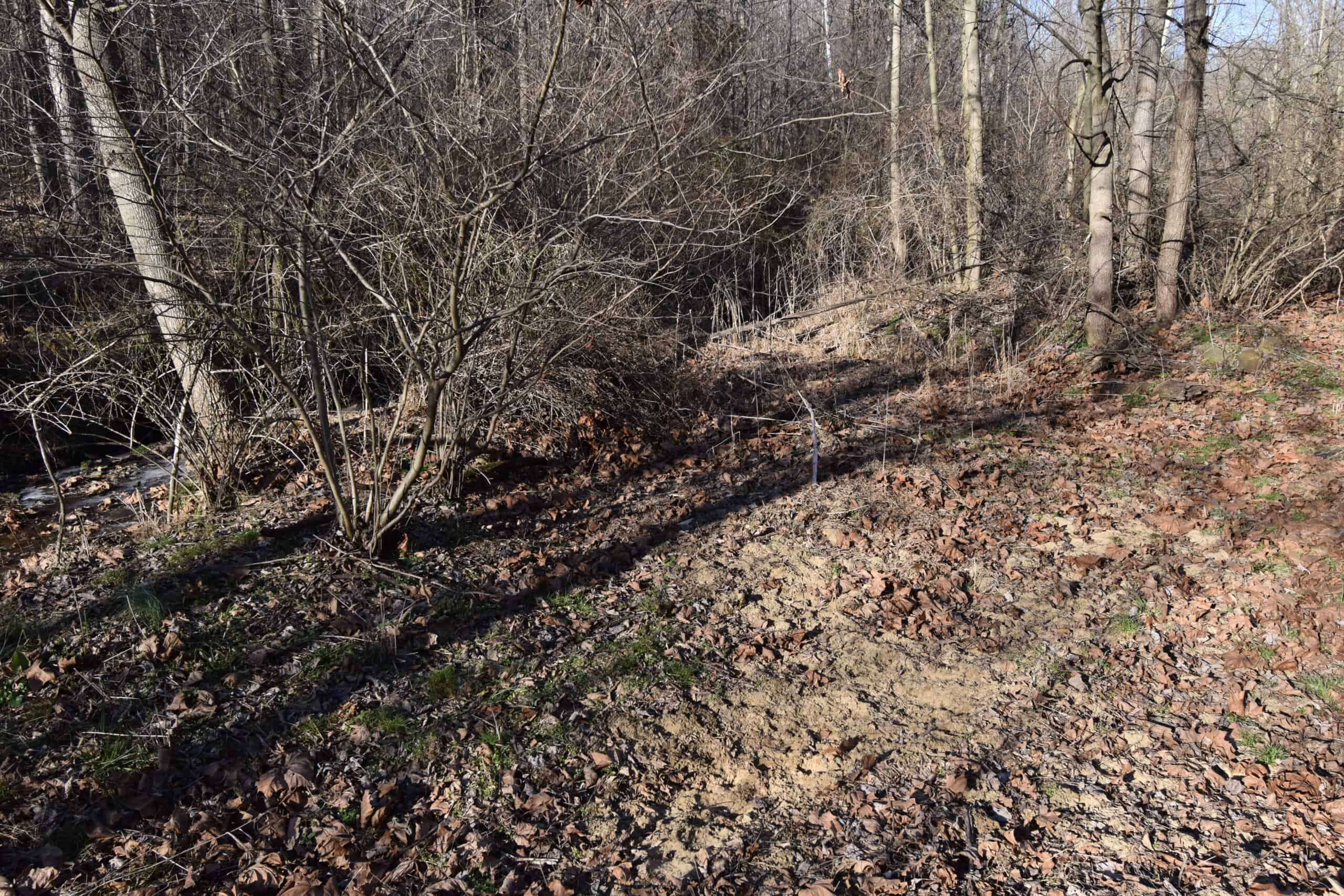 80 Acres In Dubois County- Near Patoka Lake
