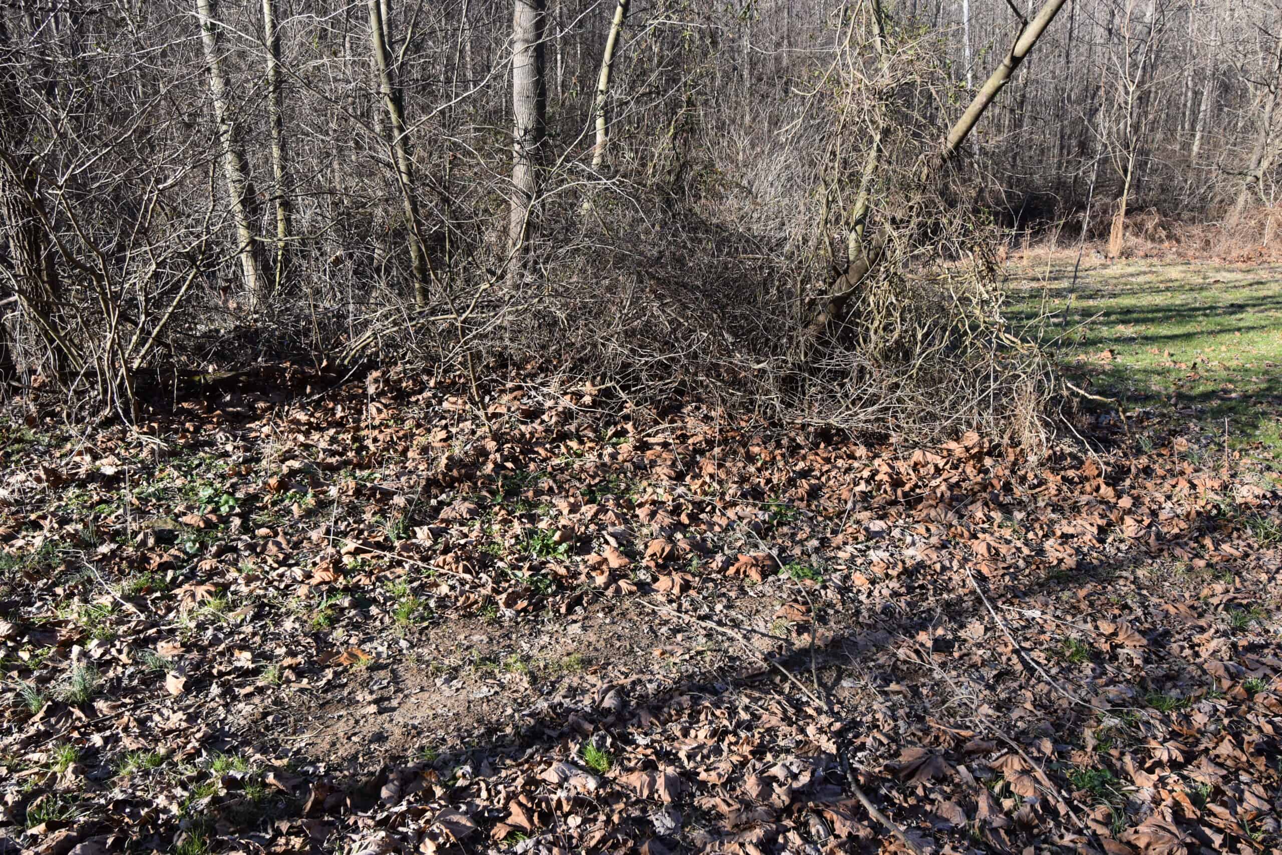 80 Acres In Dubois County- Near Patoka Lake
