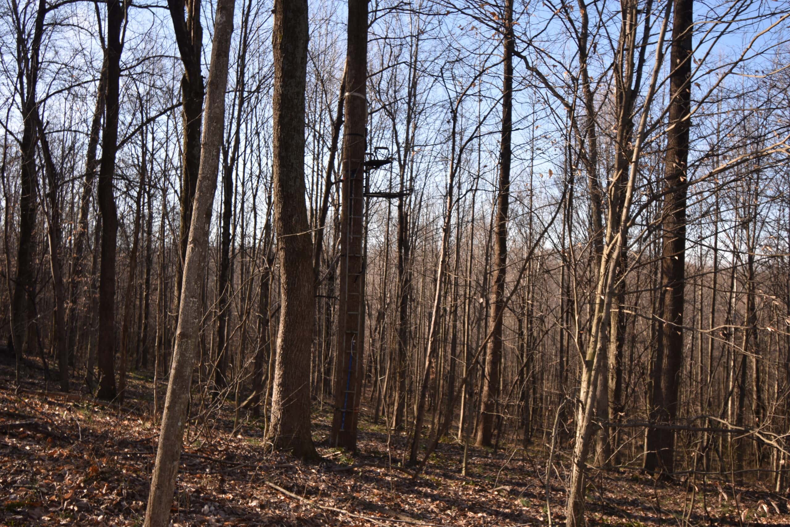 80 Acres In Dubois County- Near Patoka Lake