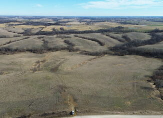 300 +/- Acres of Prime Southern Iowa Farmland