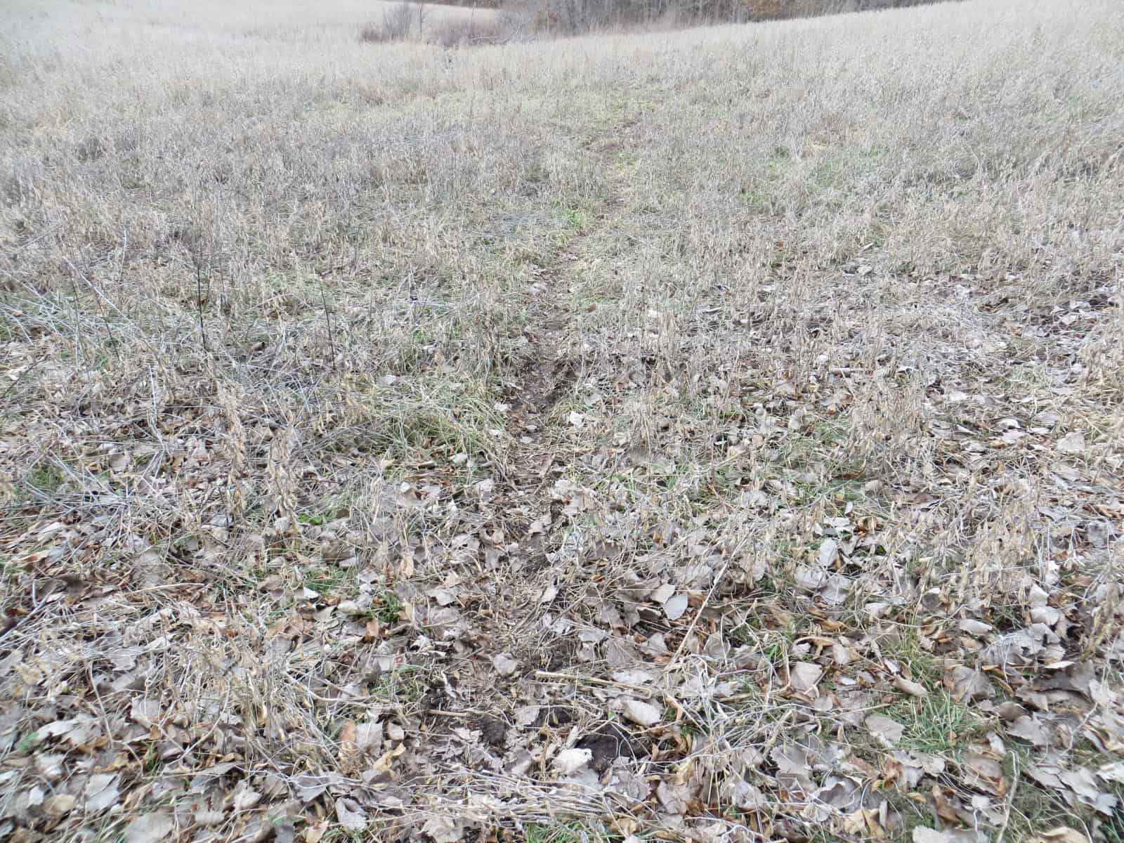 300 +/- Acres of Prime Southern Iowa Farmland