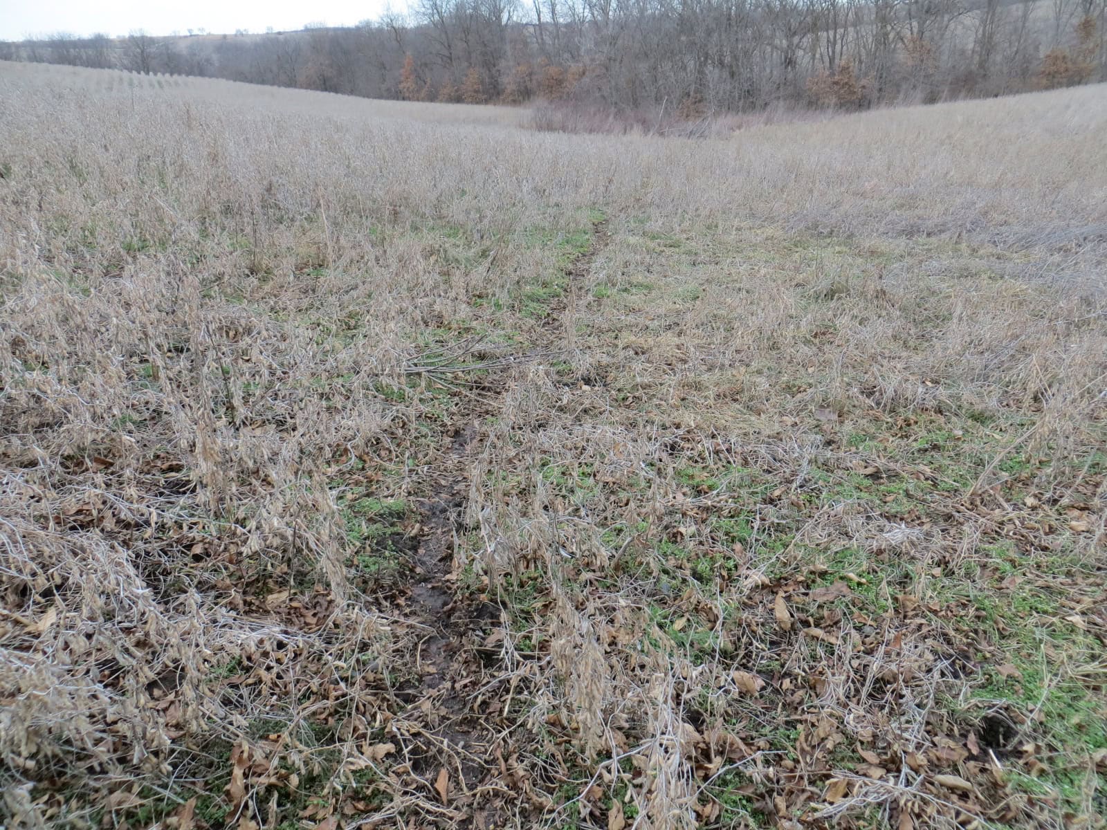 300 +/- Acres of Prime Southern Iowa Farmland