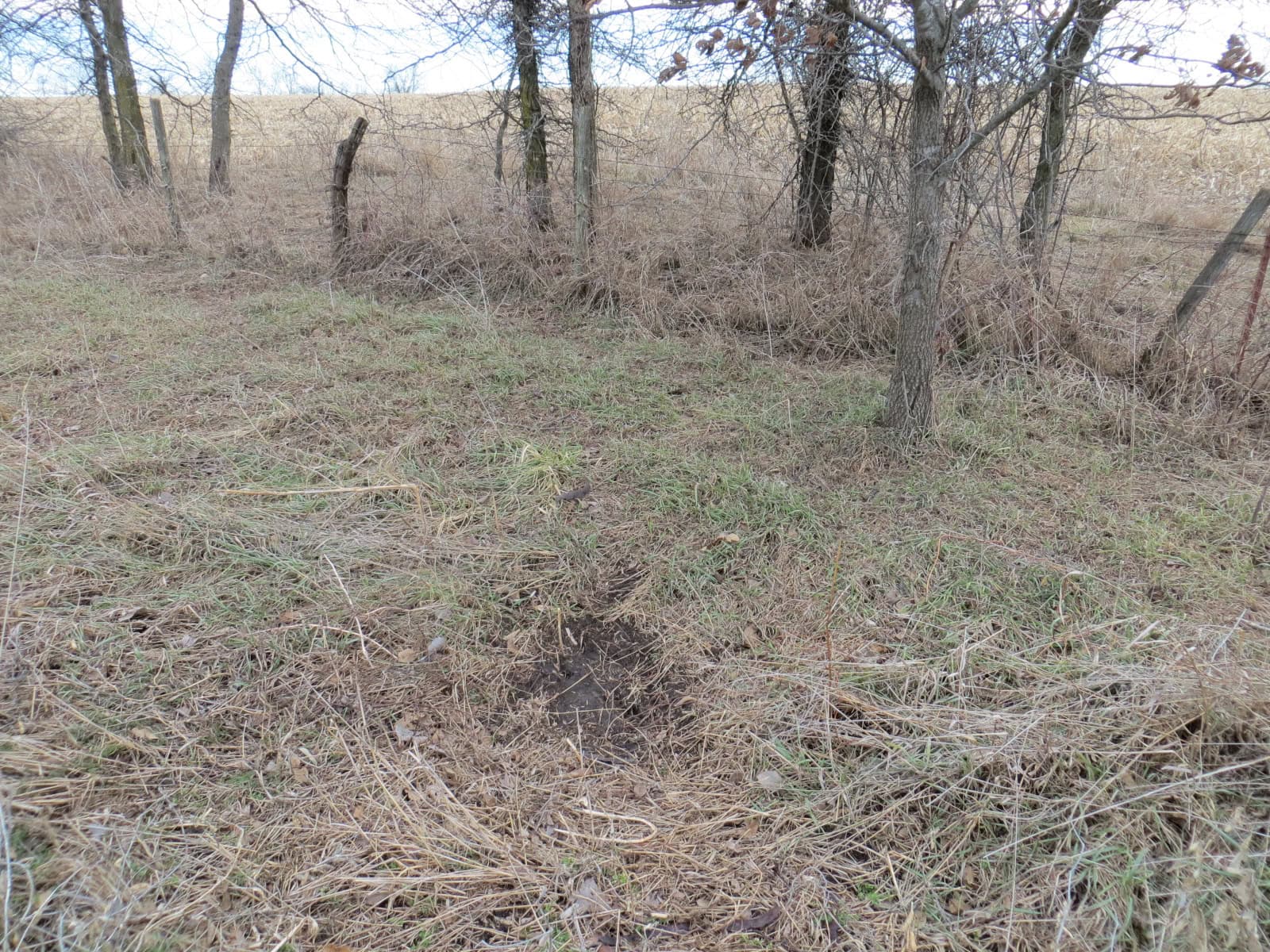 300 +/- Acres of Prime Southern Iowa Farmland