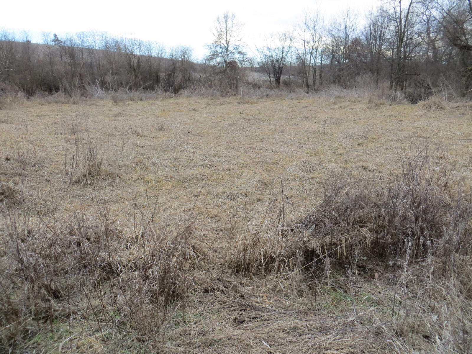 300 +/- Acres of Prime Southern Iowa Farmland