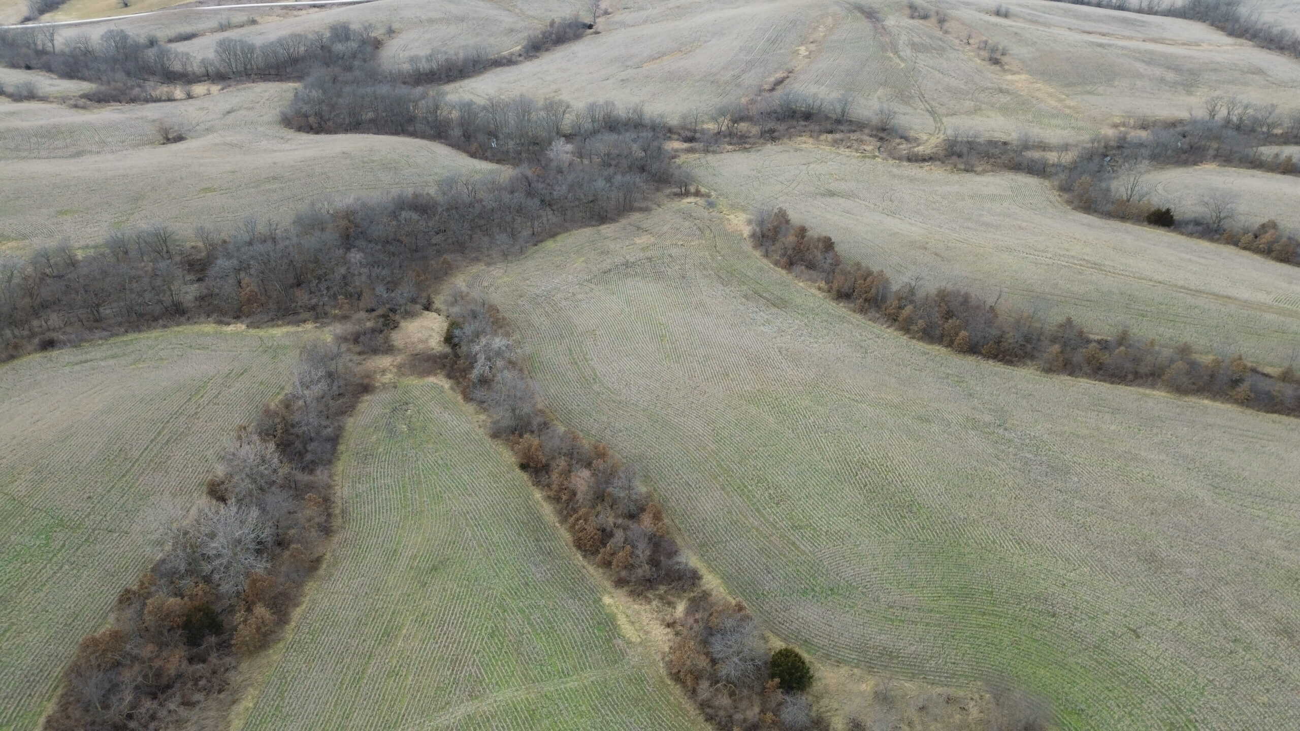 300 +/- Acres of Prime Southern Iowa Farmland