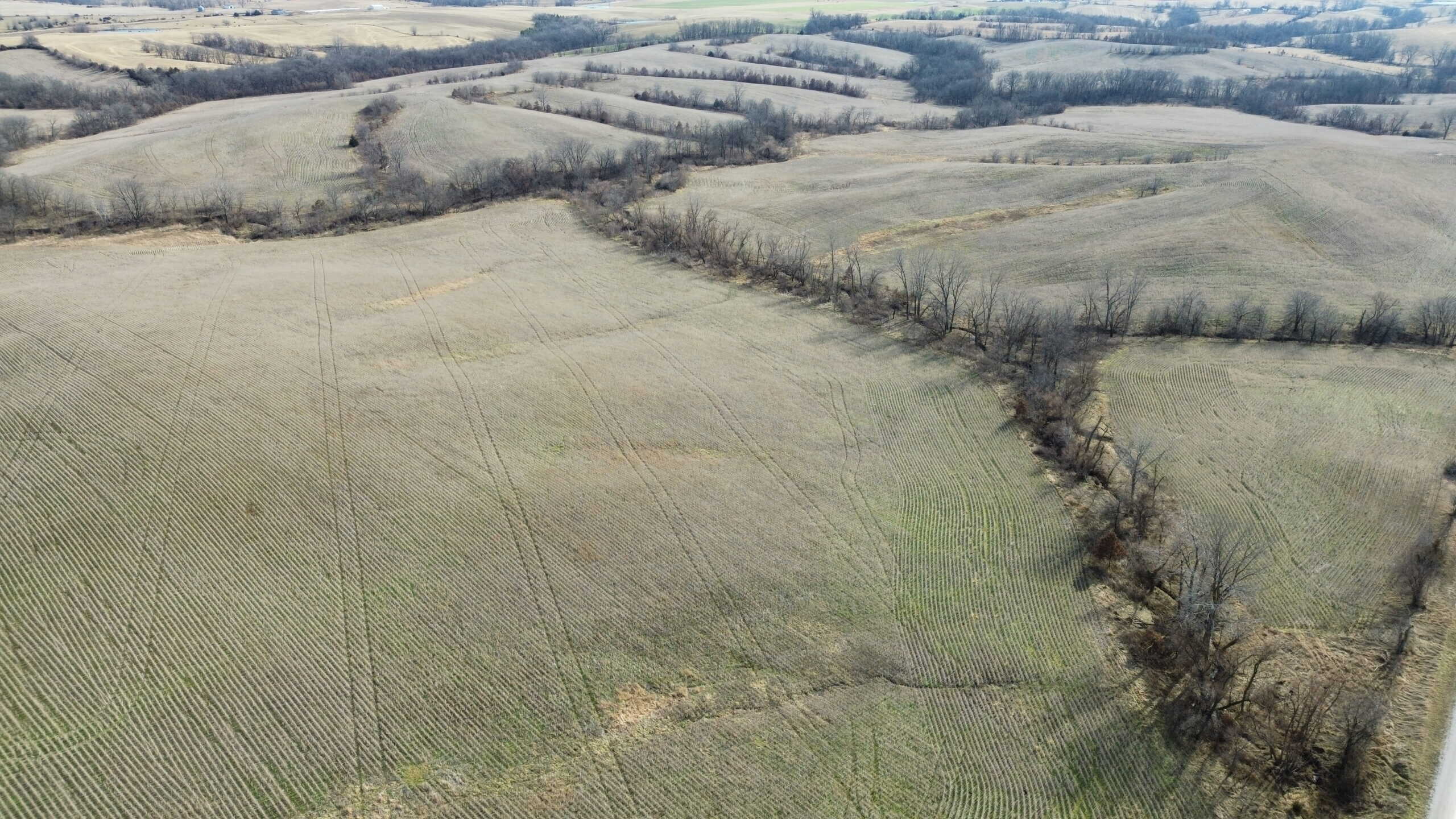 300 +/- Acres of Prime Southern Iowa Farmland