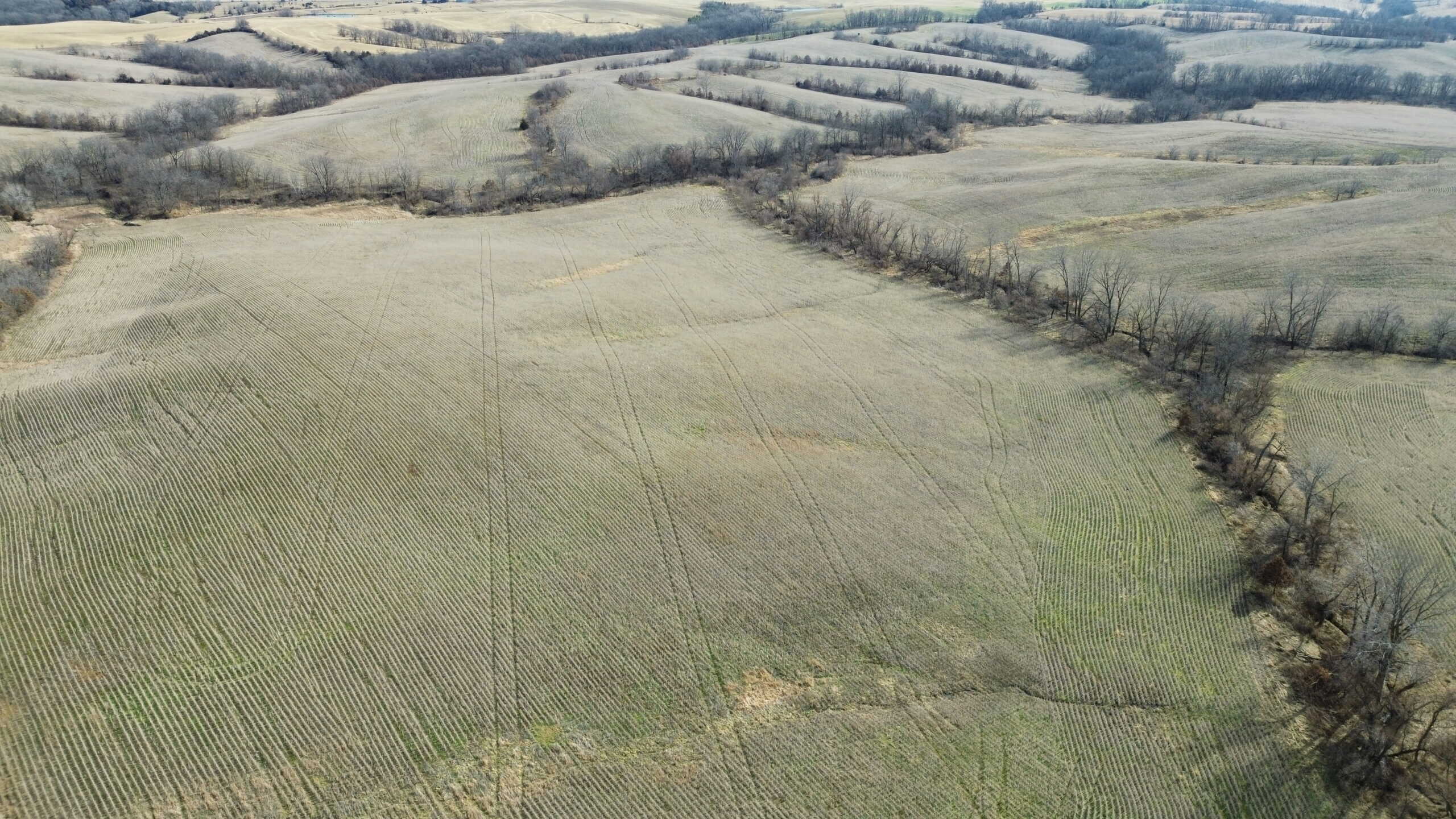 300 +/- Acres of Prime Southern Iowa Farmland