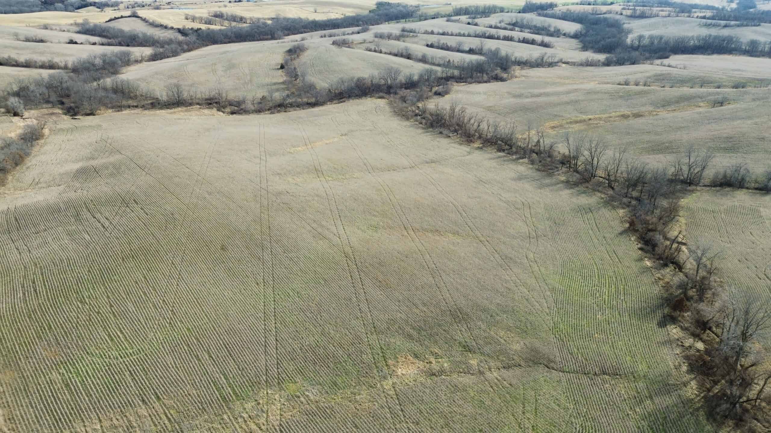 300 +/- Acres of Prime Southern Iowa Farmland