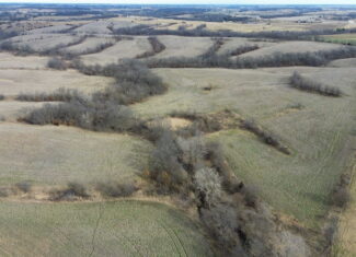 300 +/- Acres of Prime Southern Iowa Farmland