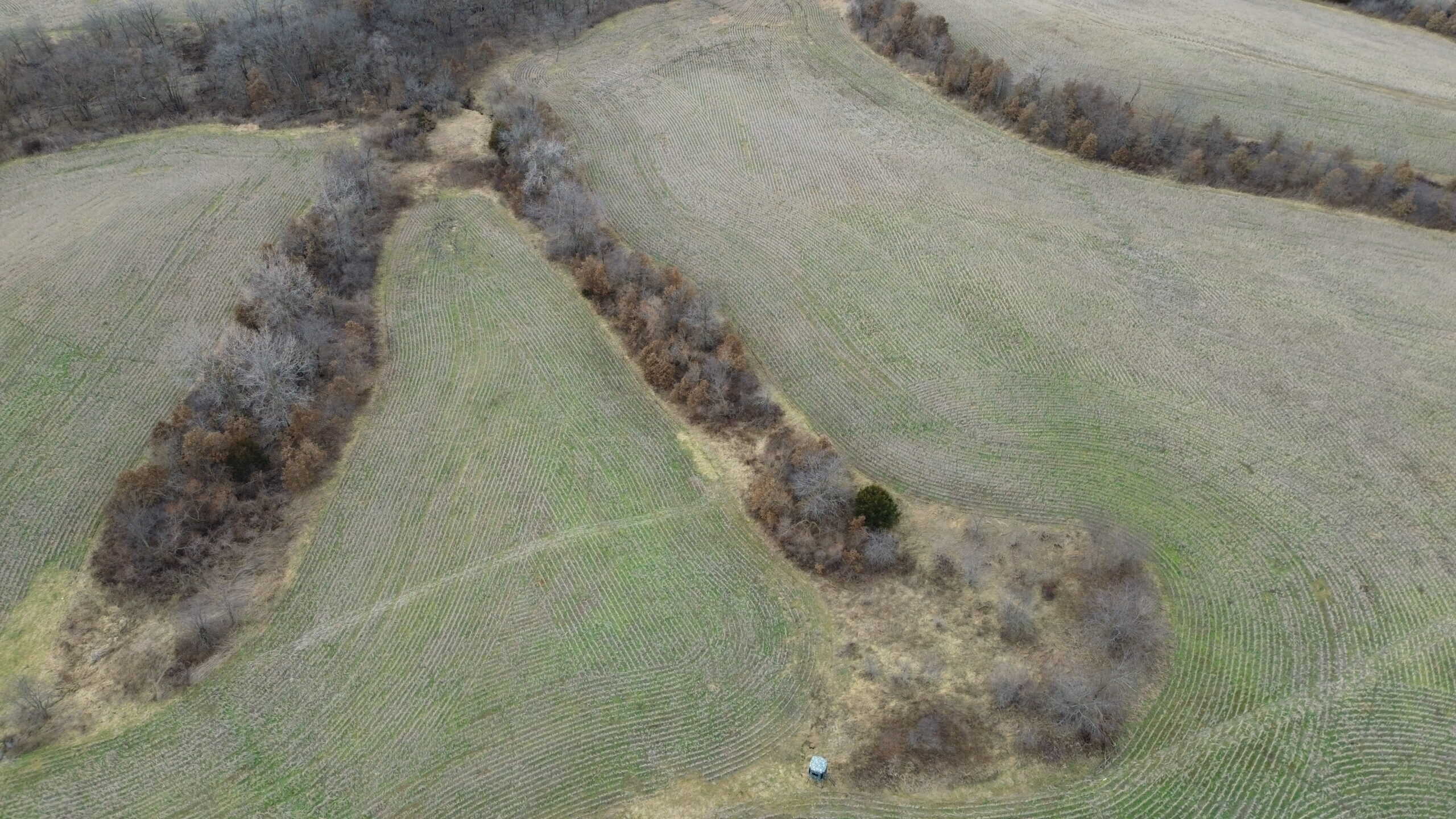 300 +/- Acres of Prime Southern Iowa Farmland