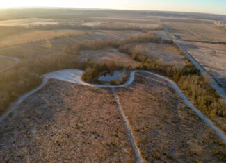 Decatur County Hunting & Investment Land