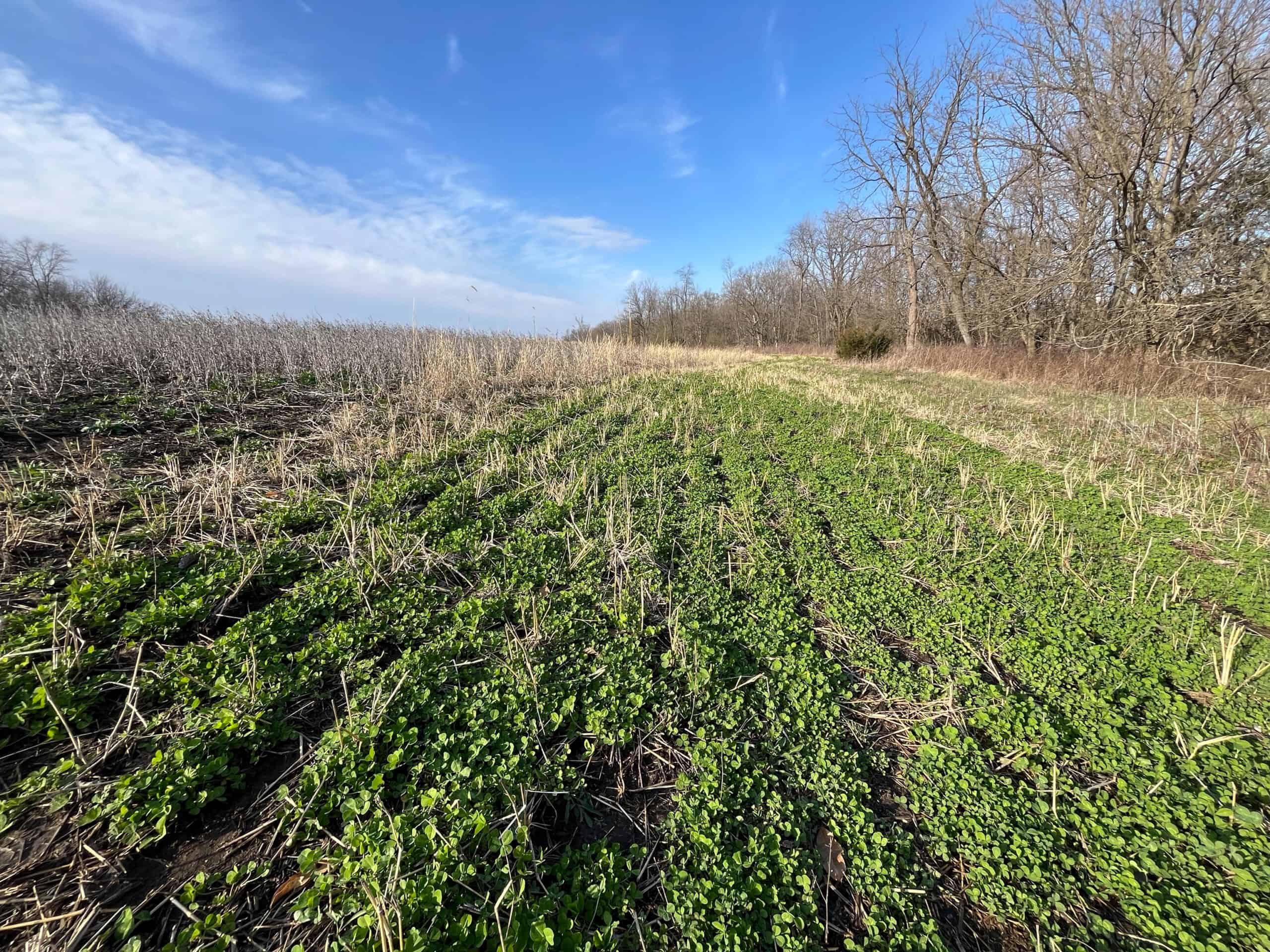 Decatur County Hunting & Investment Land