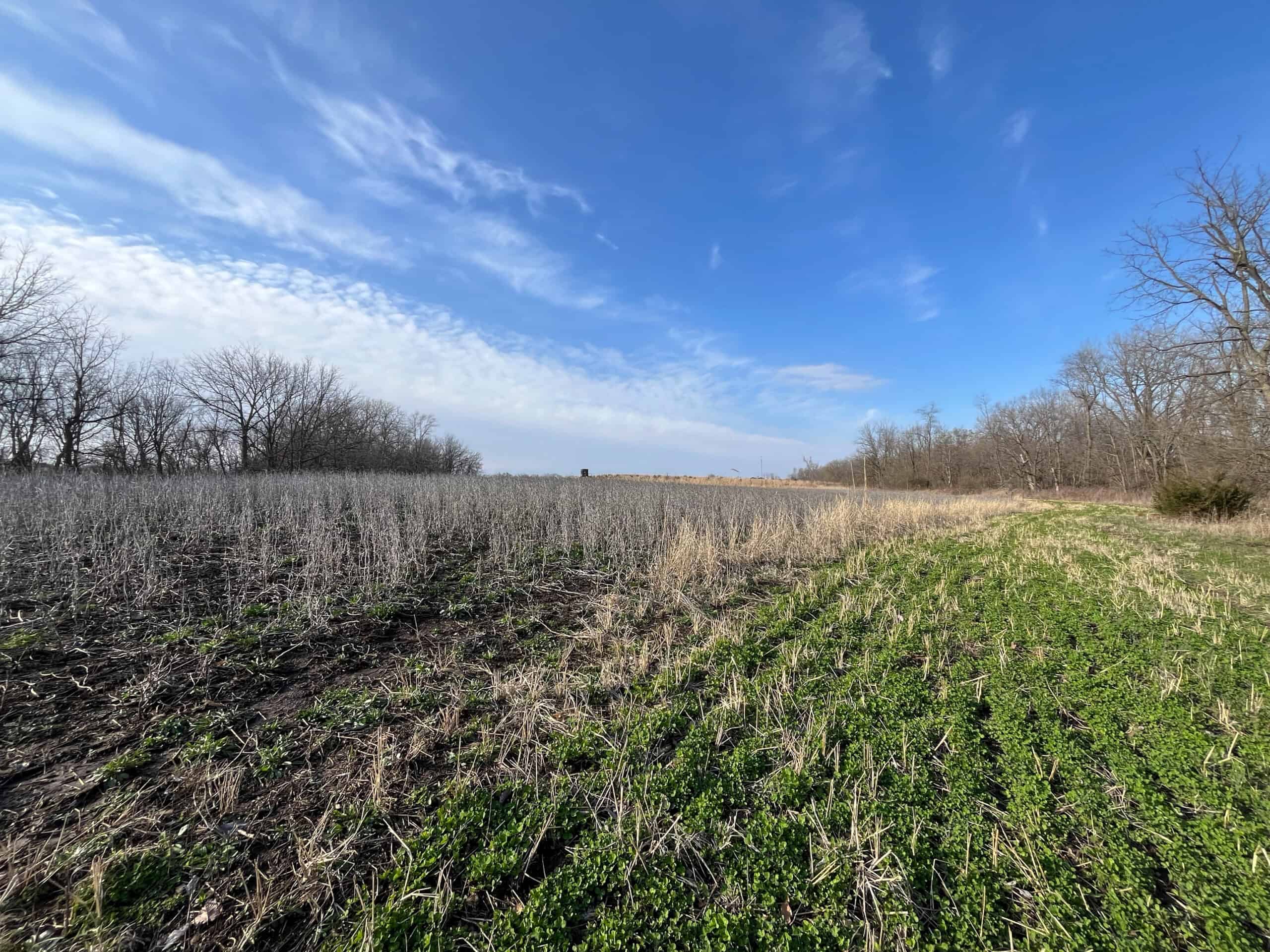 Decatur County Hunting & Investment Land