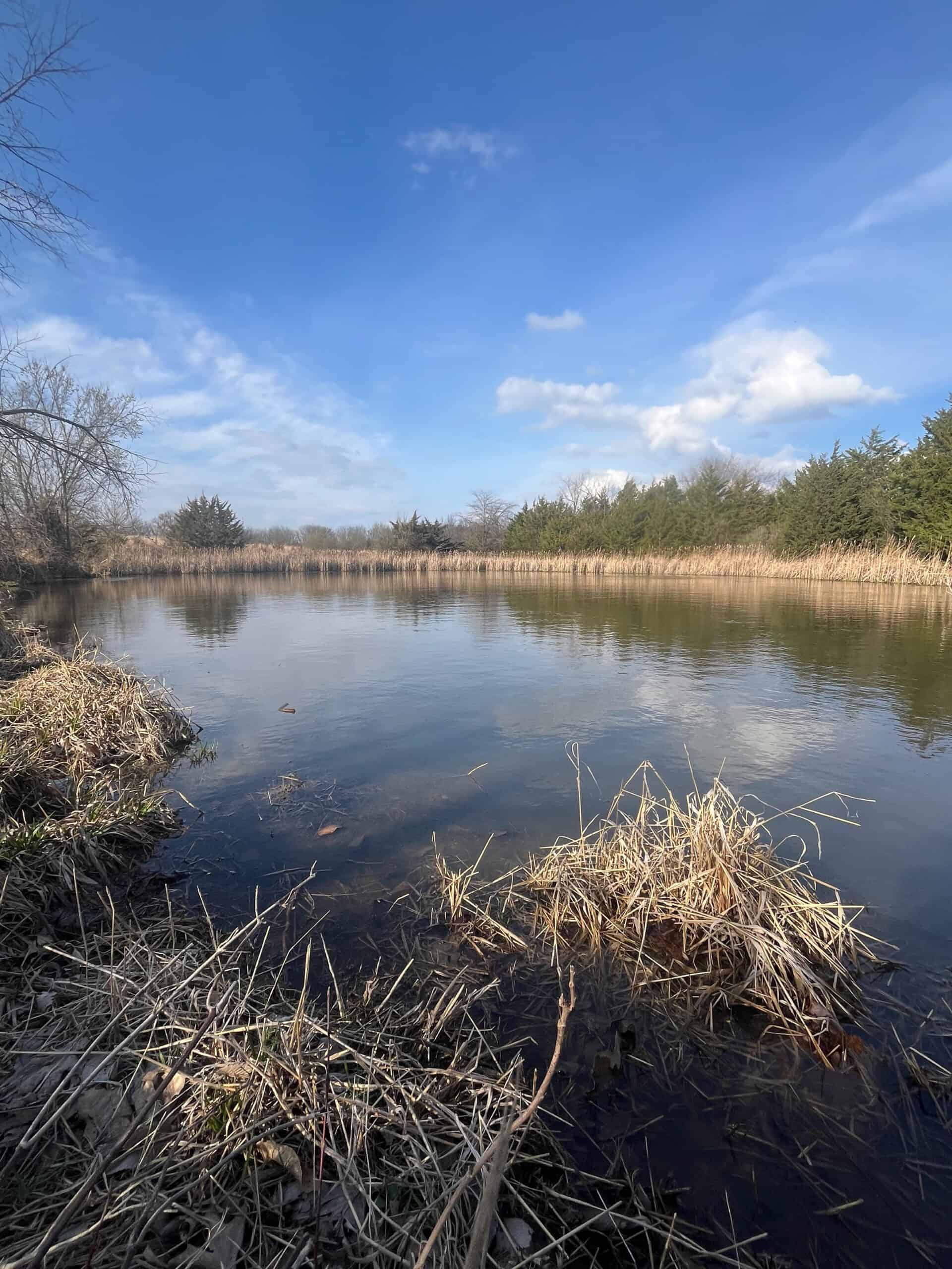 Decatur County Hunting & Investment Land