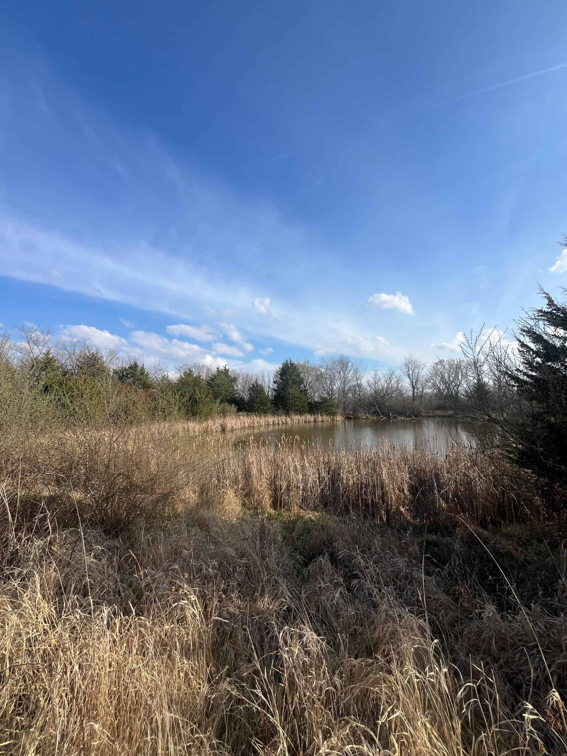 Decatur County Hunting & Investment Land