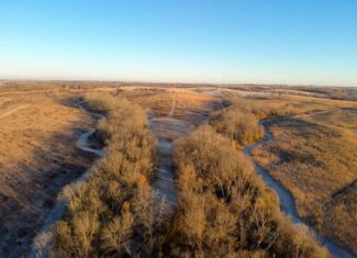 Decatur County Hunting & Investment Land