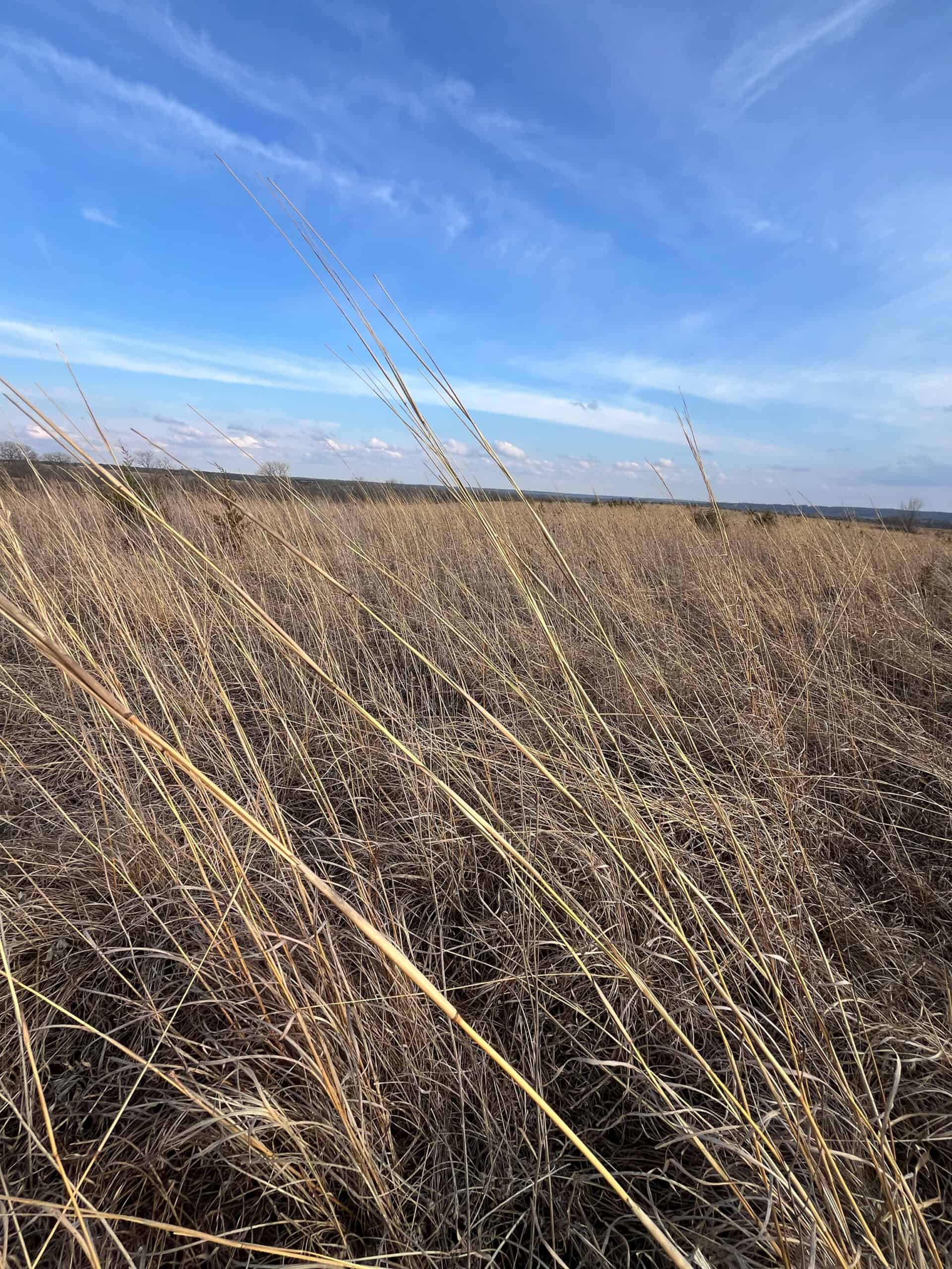 Decatur County Hunting & Investment Land