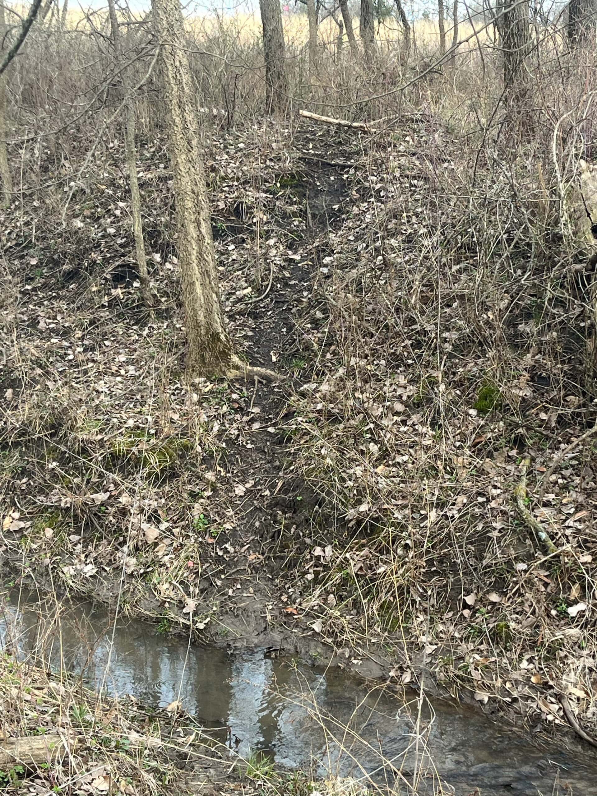 Decatur County Hunting & Investment Land