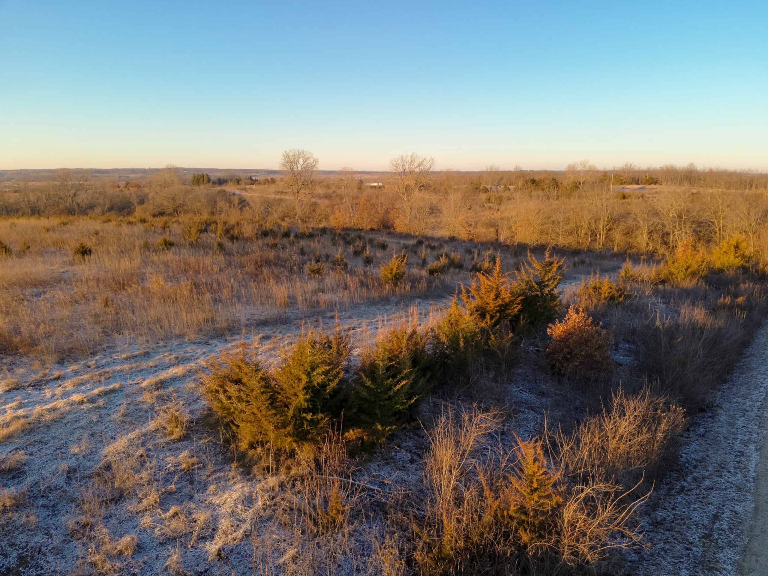 Decatur County Hunting & Investment Land