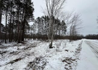 20+ Acre Recreational Land for Sale North of Kerrick, MN