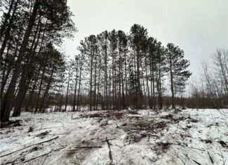 20+ Acre Recreational Land for Sale North of Kerrick, MN