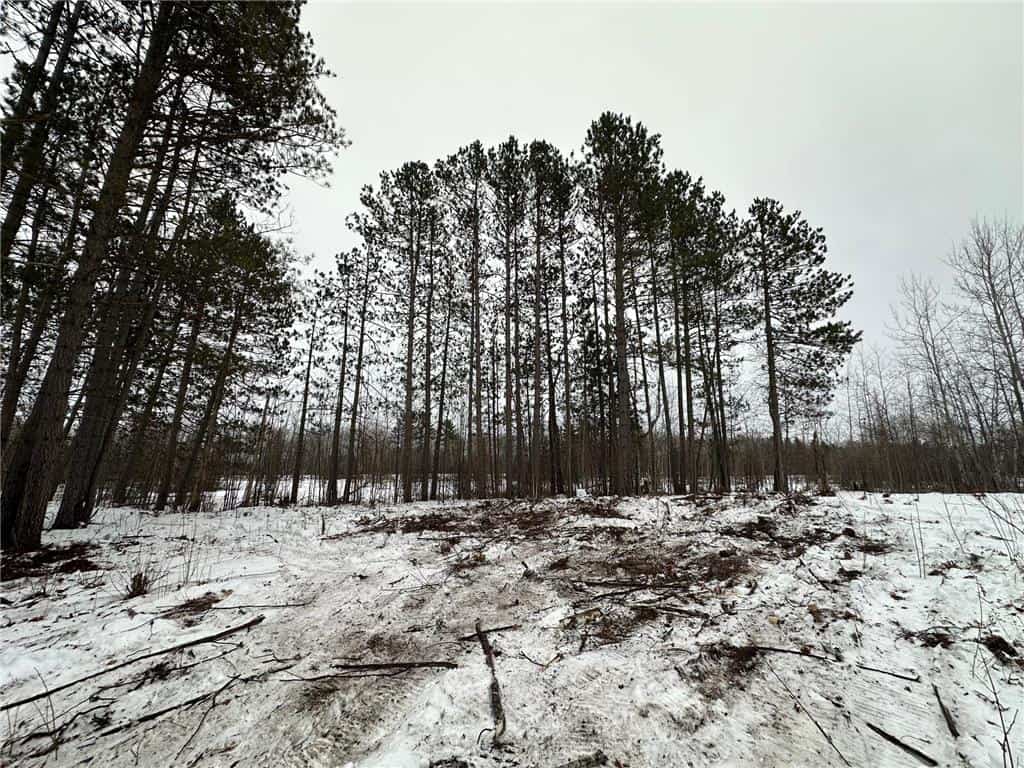 20+ Acre Recreational Land for Sale North of Kerrick, MN