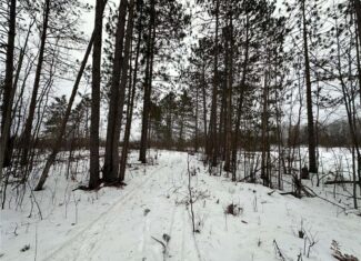 20+ Acre Recreational Land for Sale North of Kerrick, MN