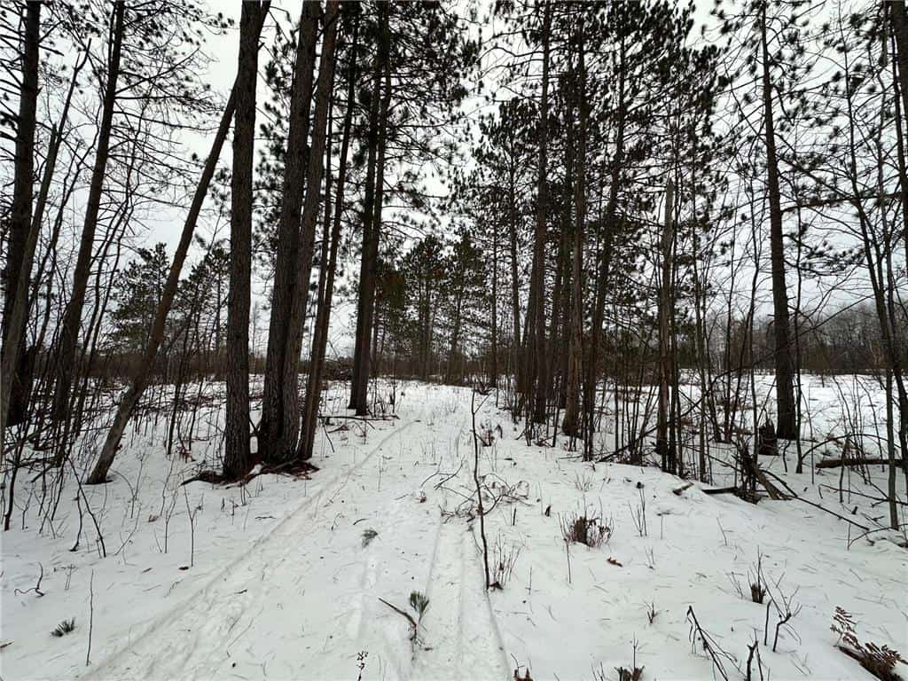 20+ Acre Recreational Land for Sale North of Kerrick, MN