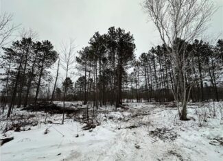 20+ Acre Recreational Land for Sale North of Kerrick, MN