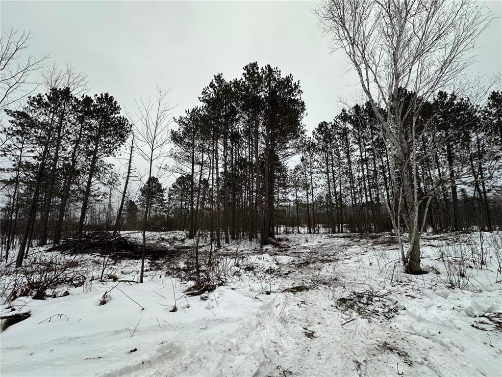 20+ Acre Recreational Land for Sale North of Kerrick, MN