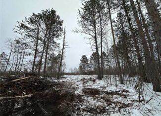 20+ Acre Recreational Land for Sale North of Kerrick, MN