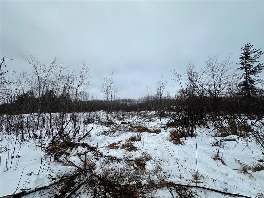 20+ Acre Recreational Land for Sale North of Kerrick, MN
