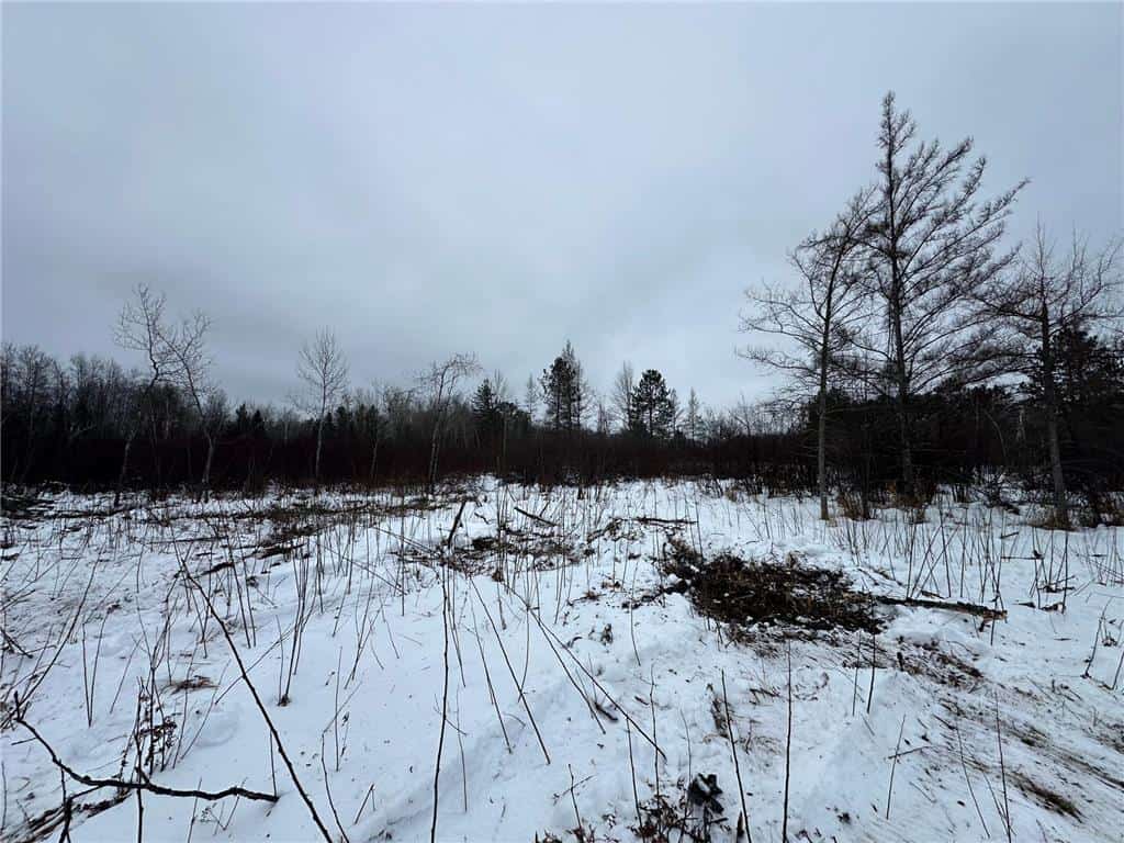 20+ Acre Recreational Land for Sale North of Kerrick, MN